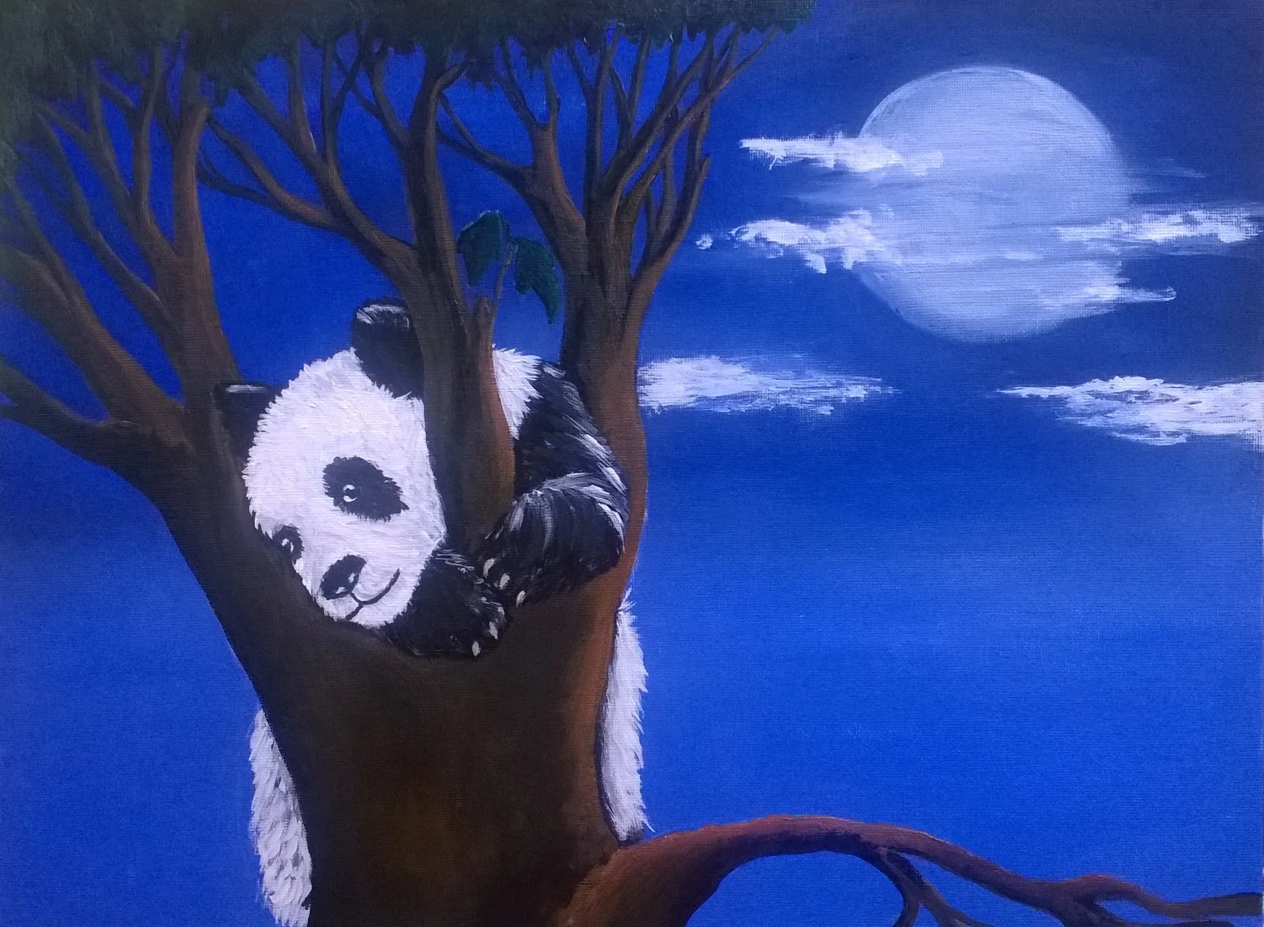 Goodnight Panda