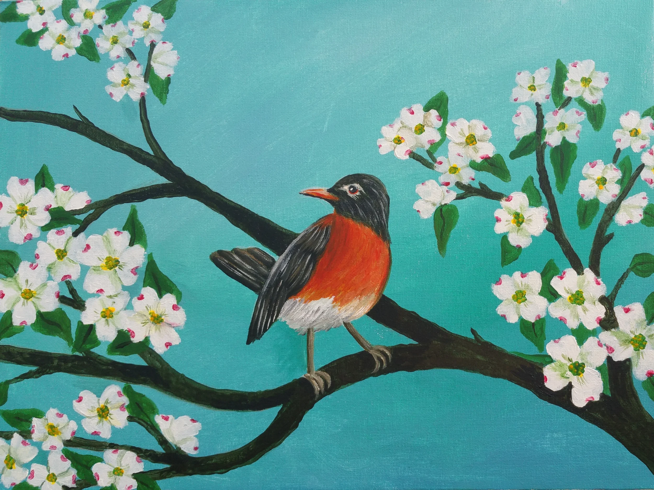 Robin