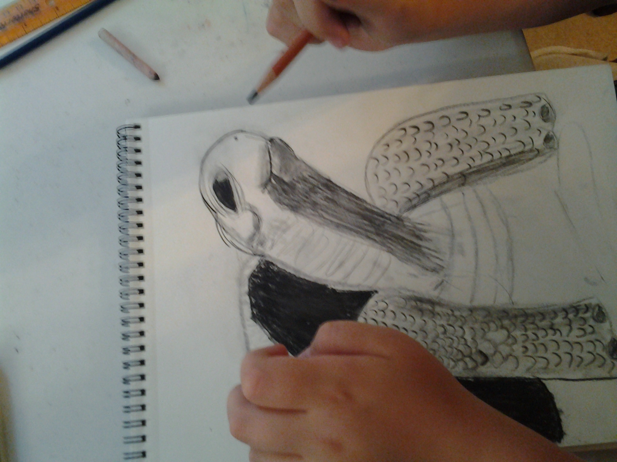 20130626_175103.jpg