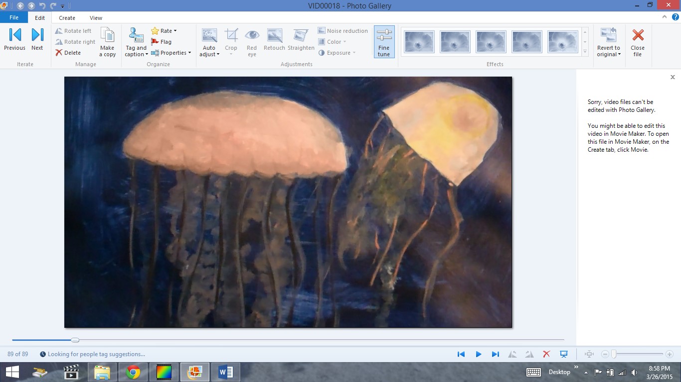 jellyfish.jpg