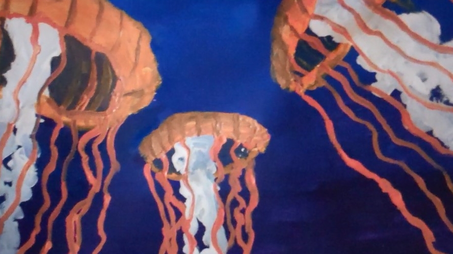 jellyfish 4.jpg