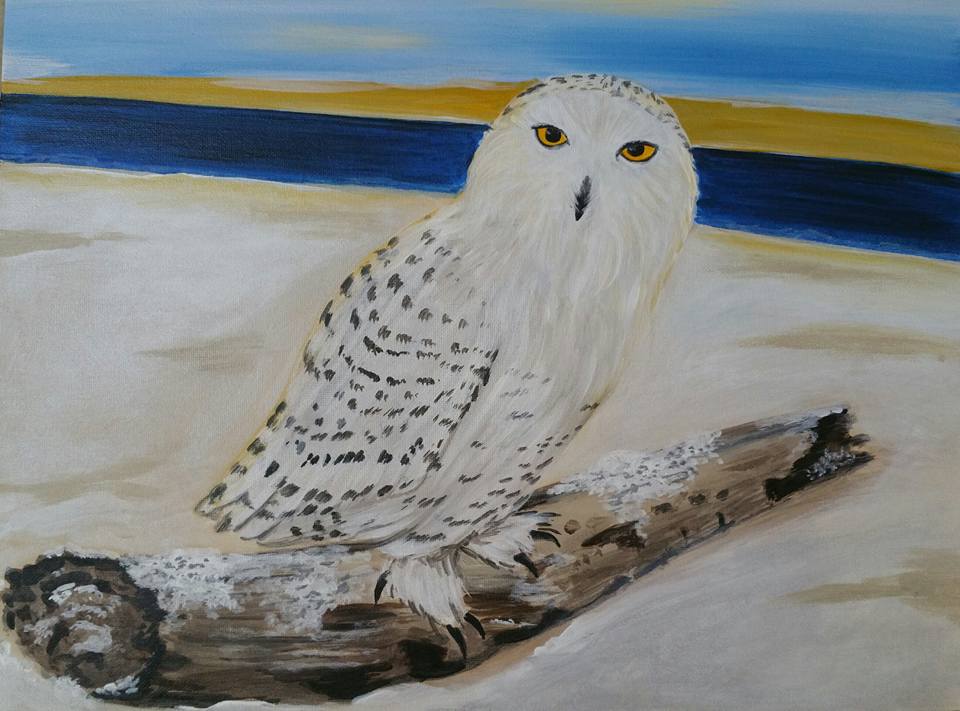 Snowy Owl