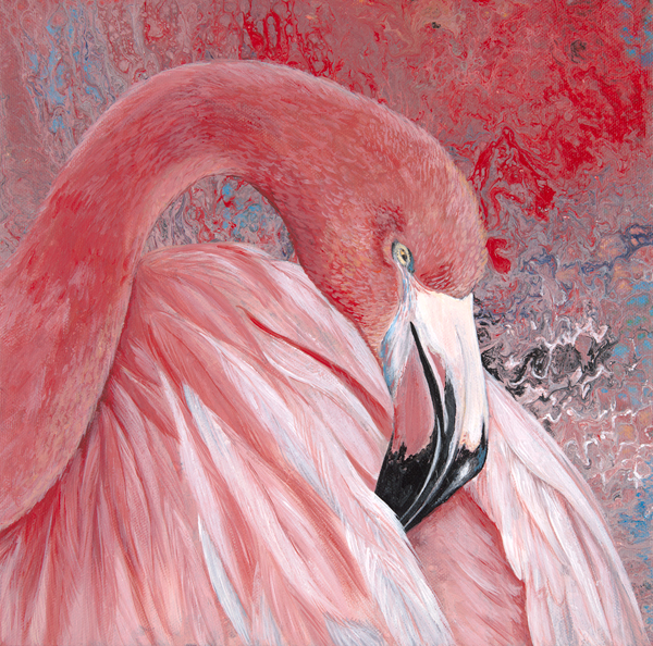 Flamingo