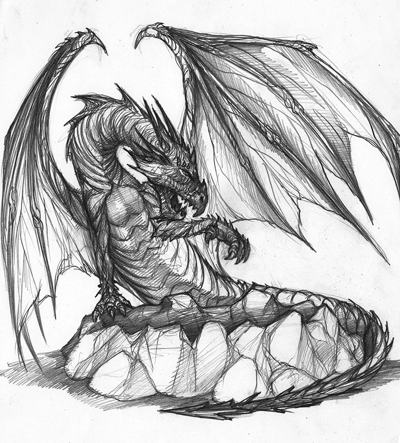 dragonfruit_dragon_sketch.jpg