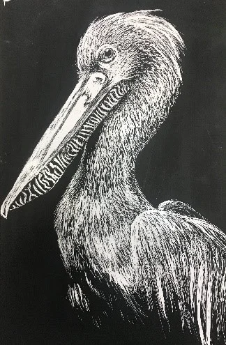Pelican.jpg