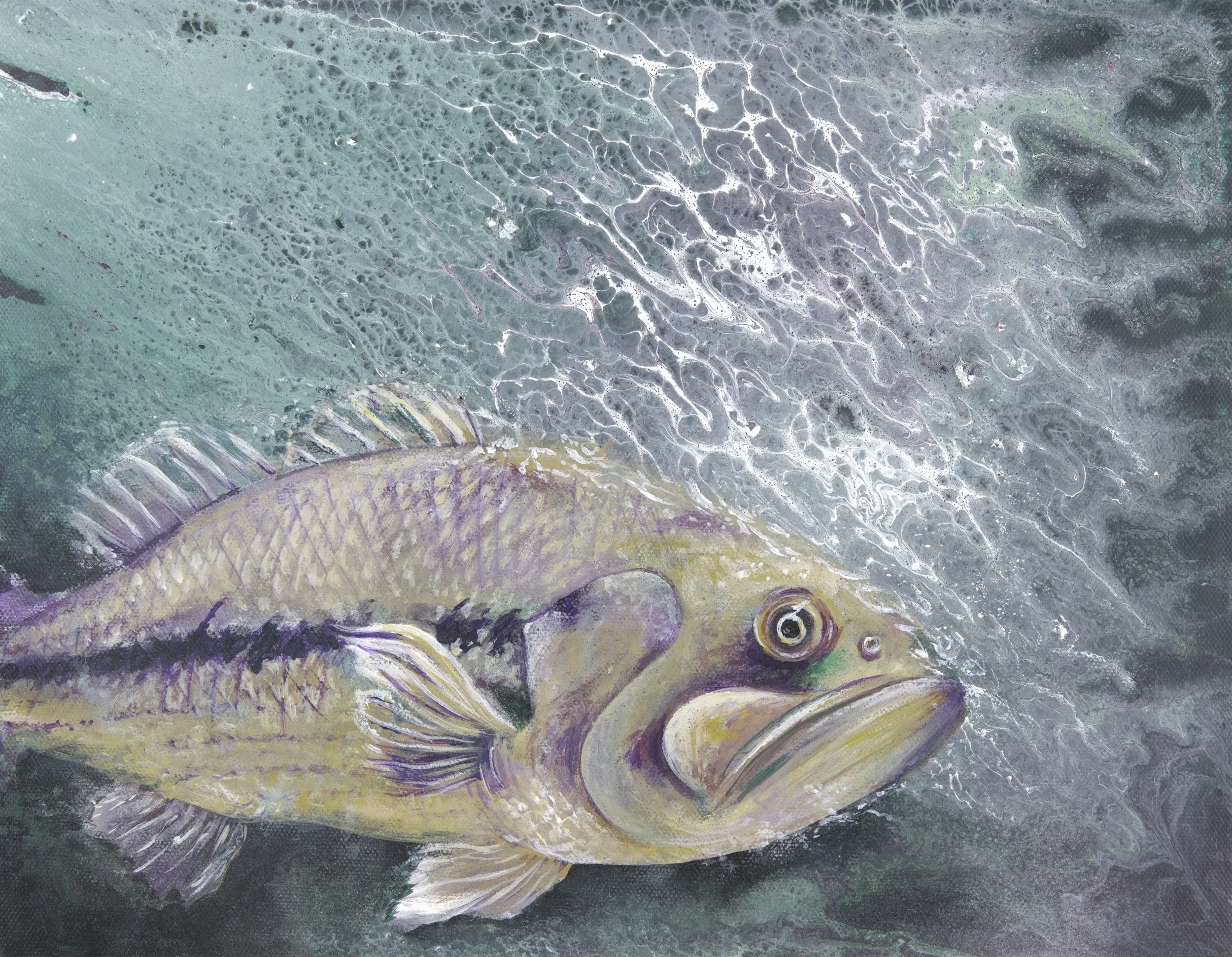 Bass