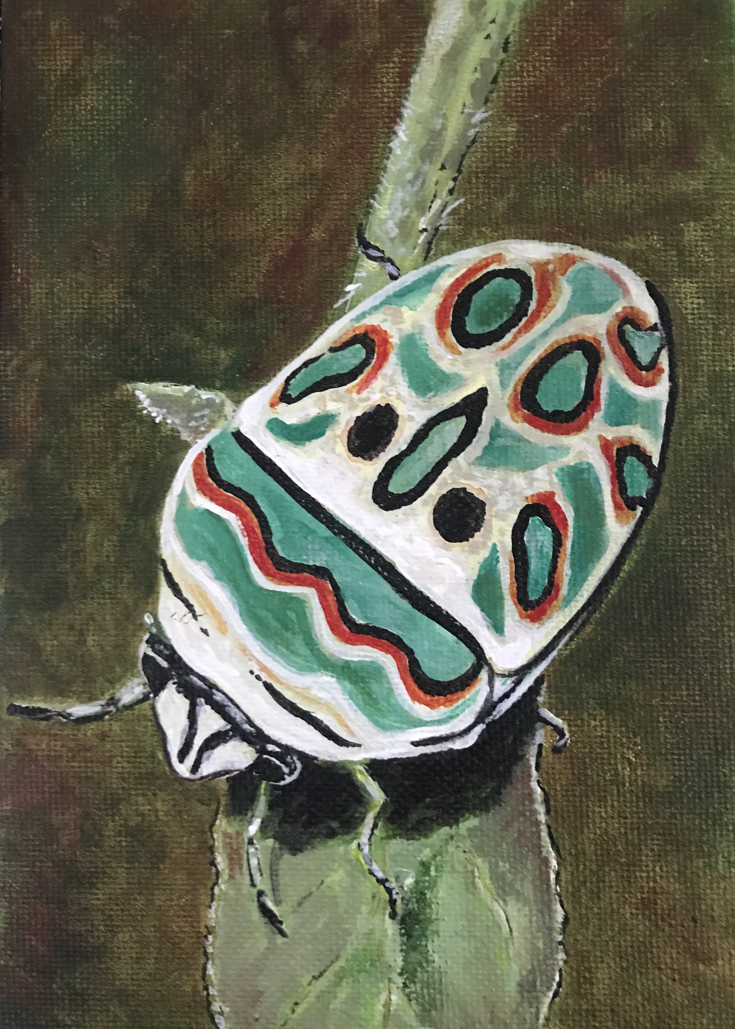 Picasso Bug