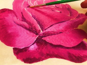 Rose.jpg