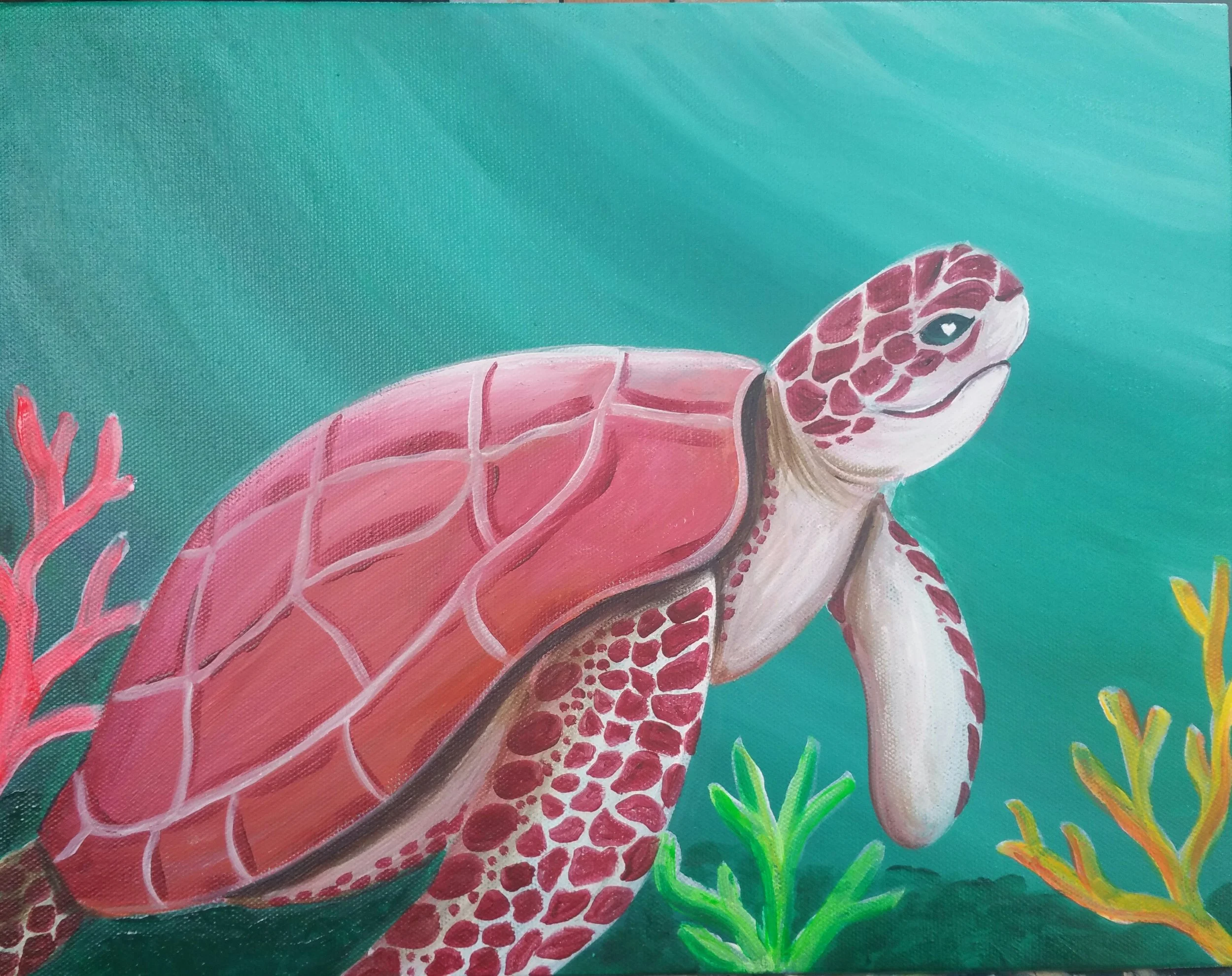 Sea Turtle.jpg