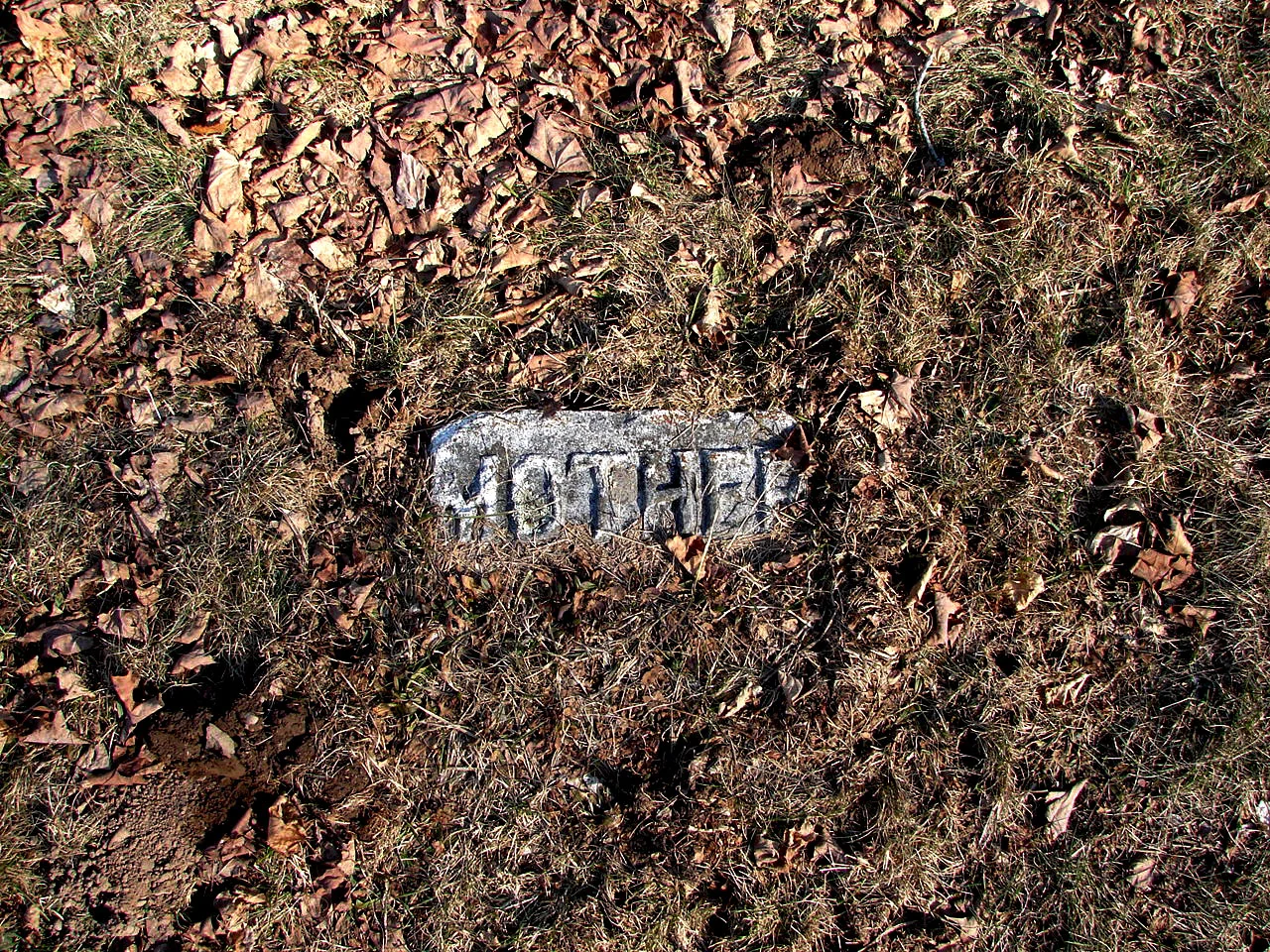 mother.jpg