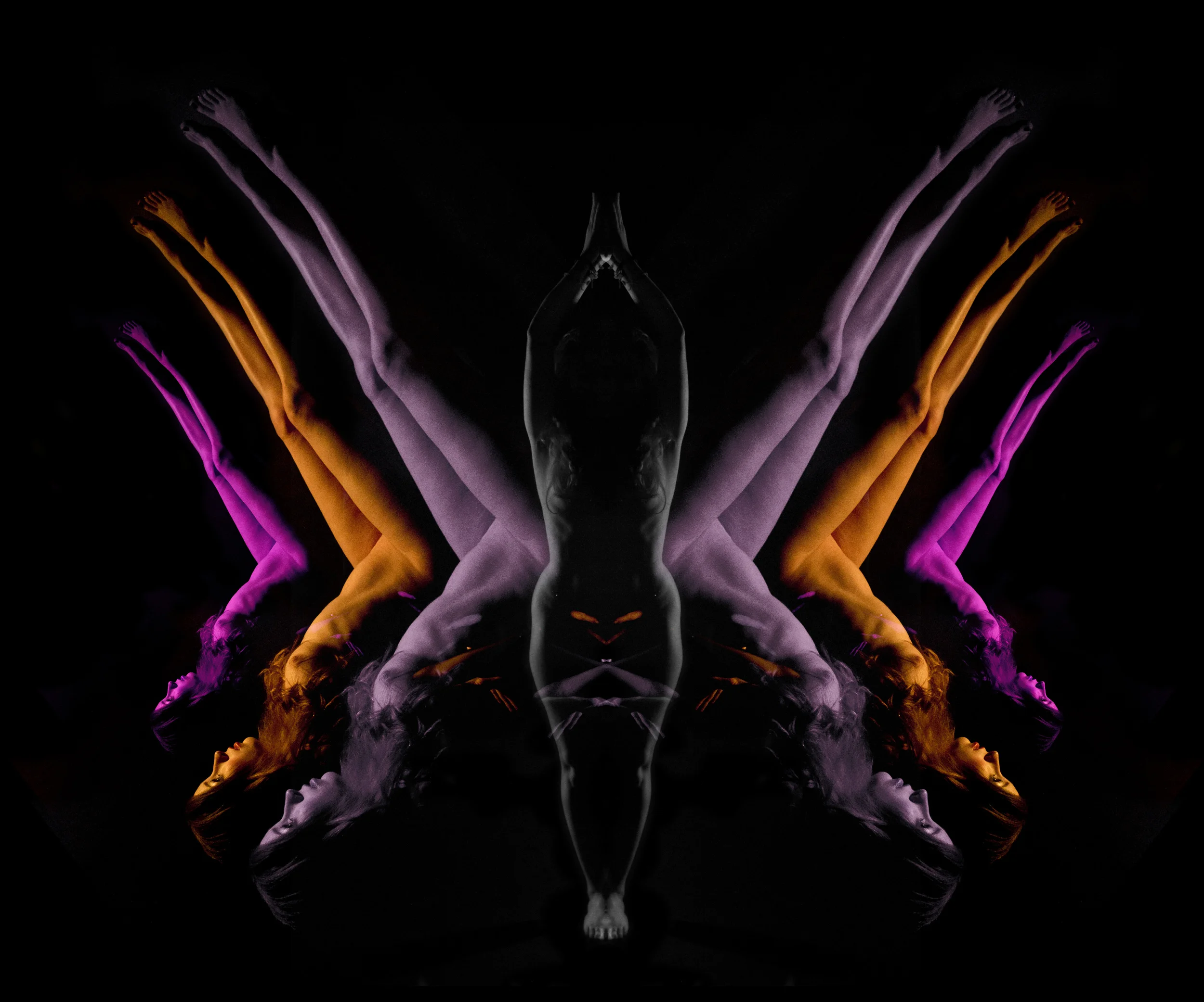Butterfly+1.jpg