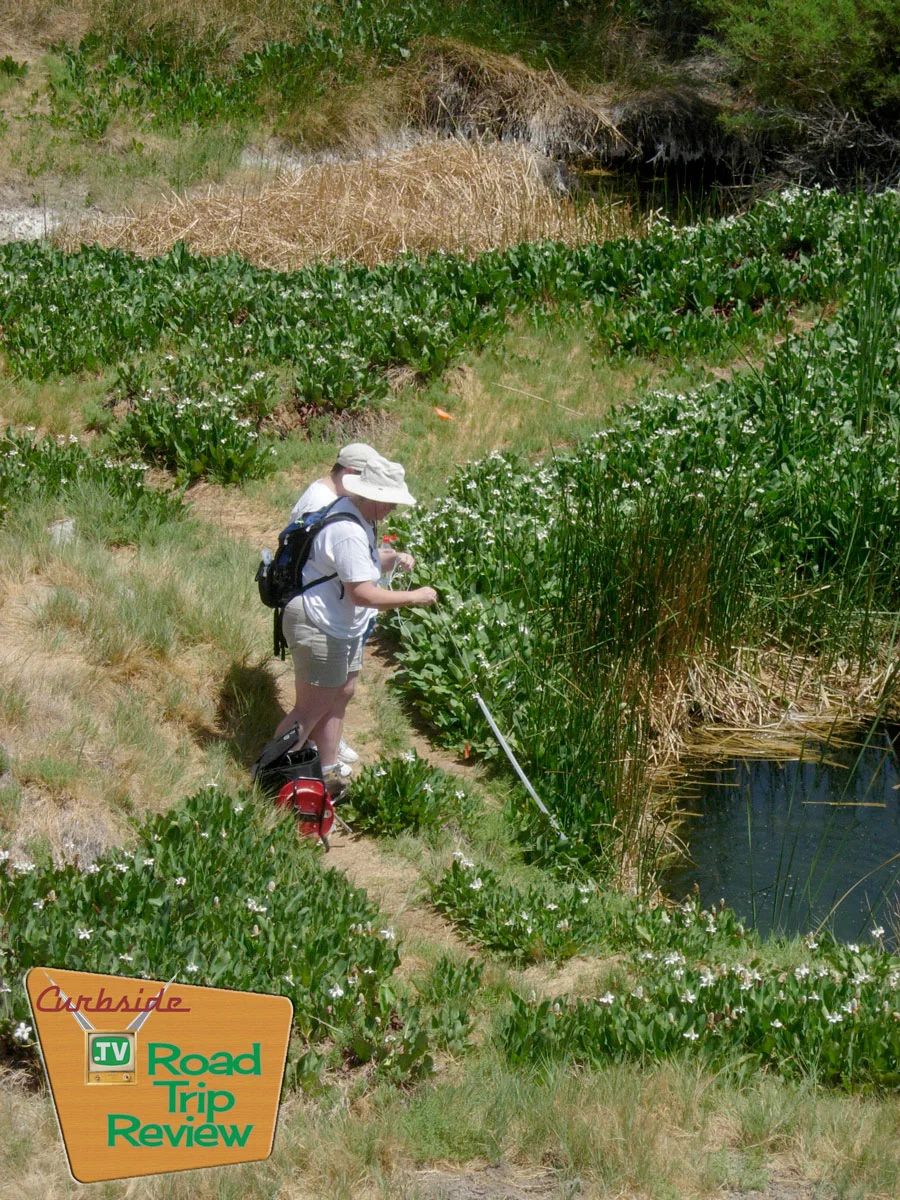 Zzyzx-Tule-Pond-measuring.jpg
