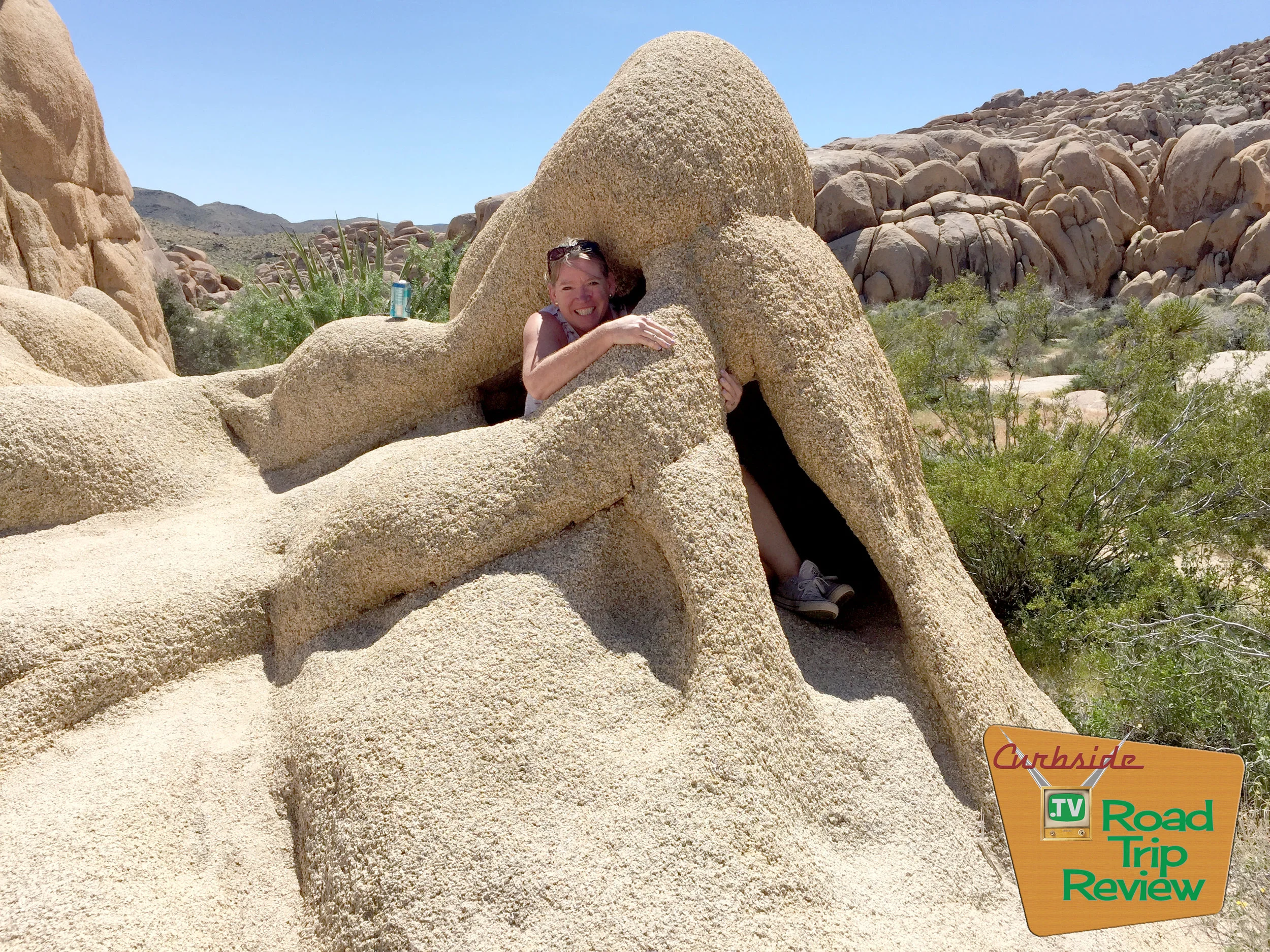 Joshua Tree National Park - 164.jpg