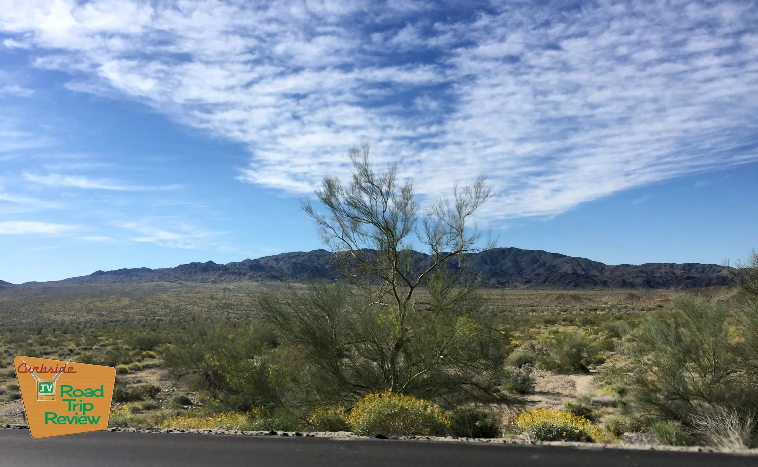 Joshua Tree National Park - 1.jpg