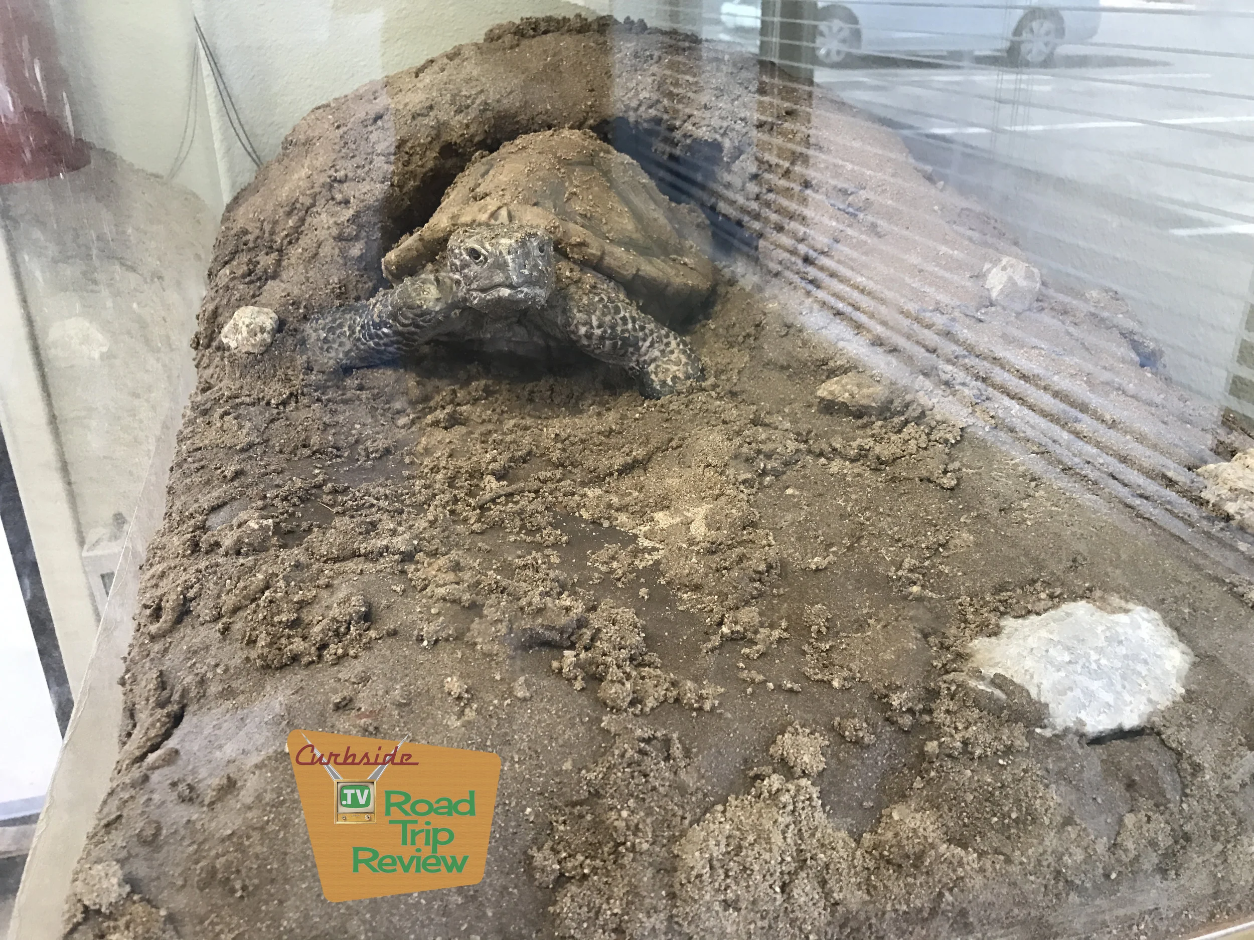 Joshua Tree National Park - 6.jpg