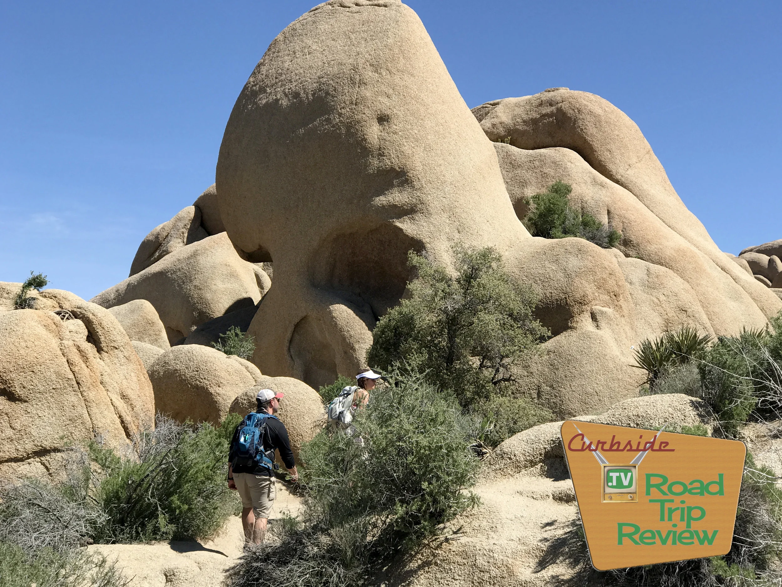 Joshua Tree National Park - 186.jpg
