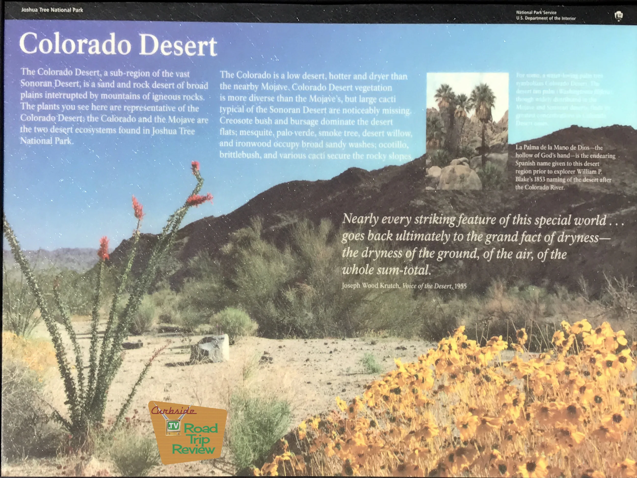 Joshua Tree National Park - 25.jpg