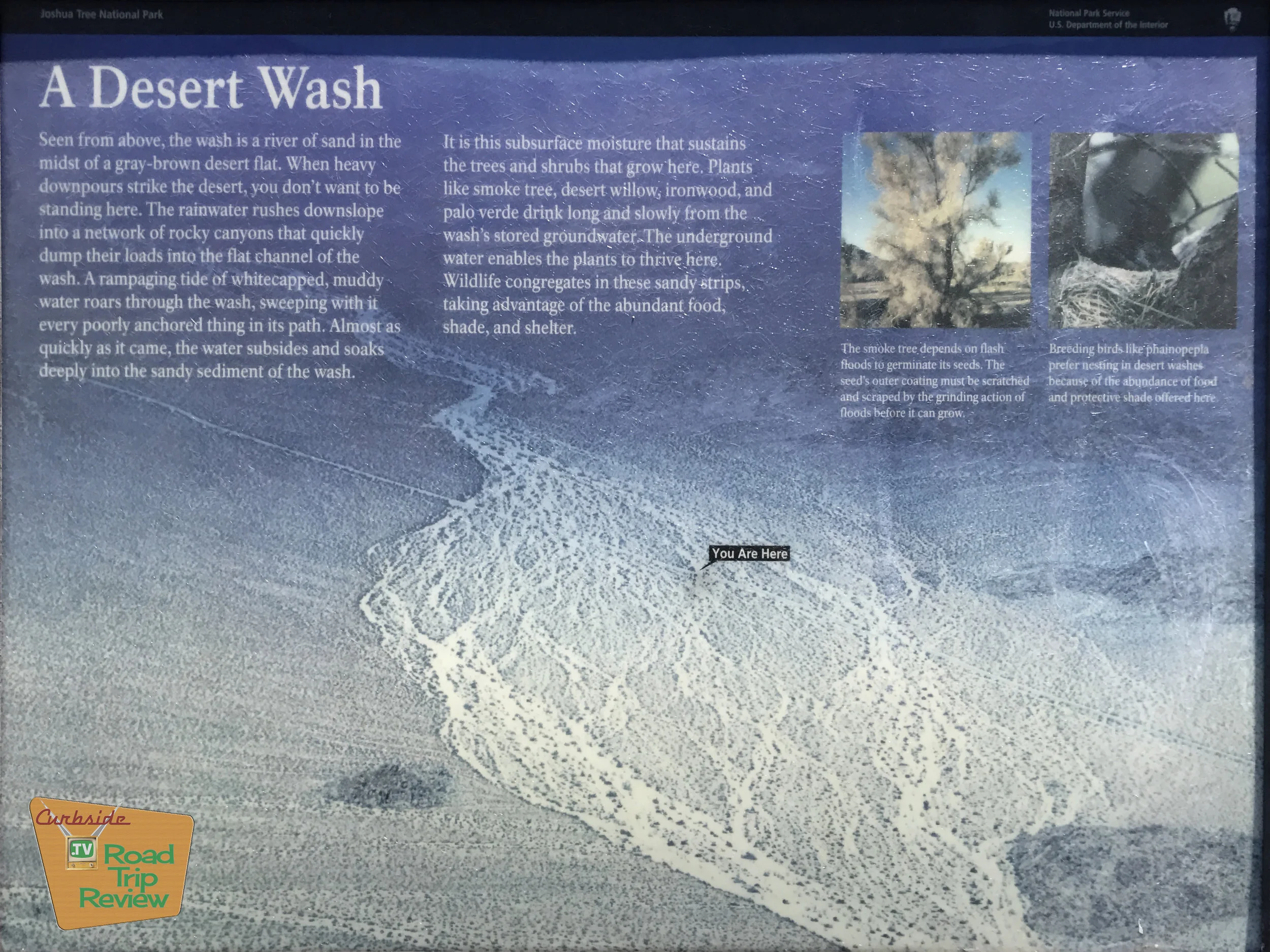 Joshua Tree National Park - 41.jpg