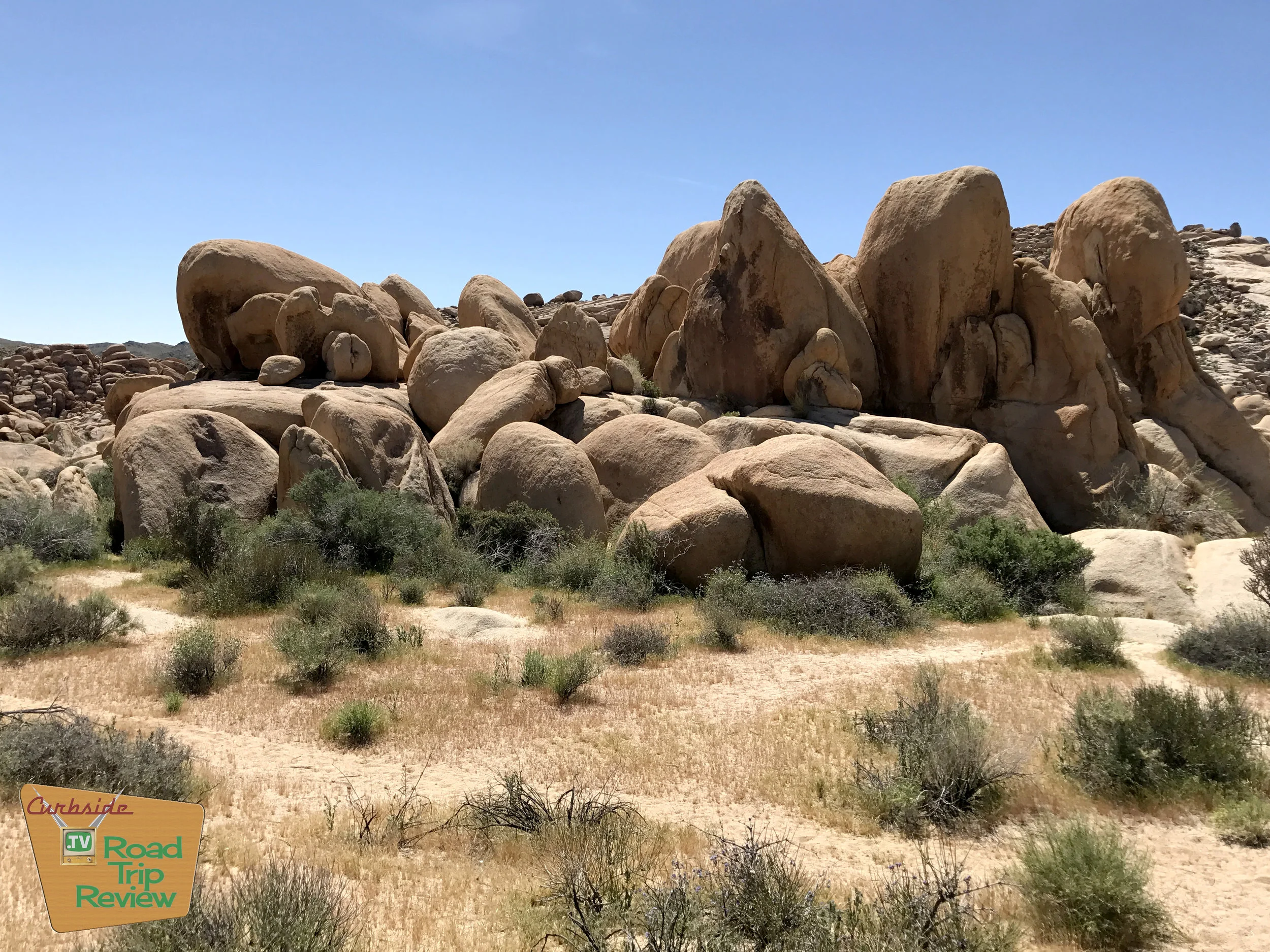 Joshua Tree National Park - 148.jpg