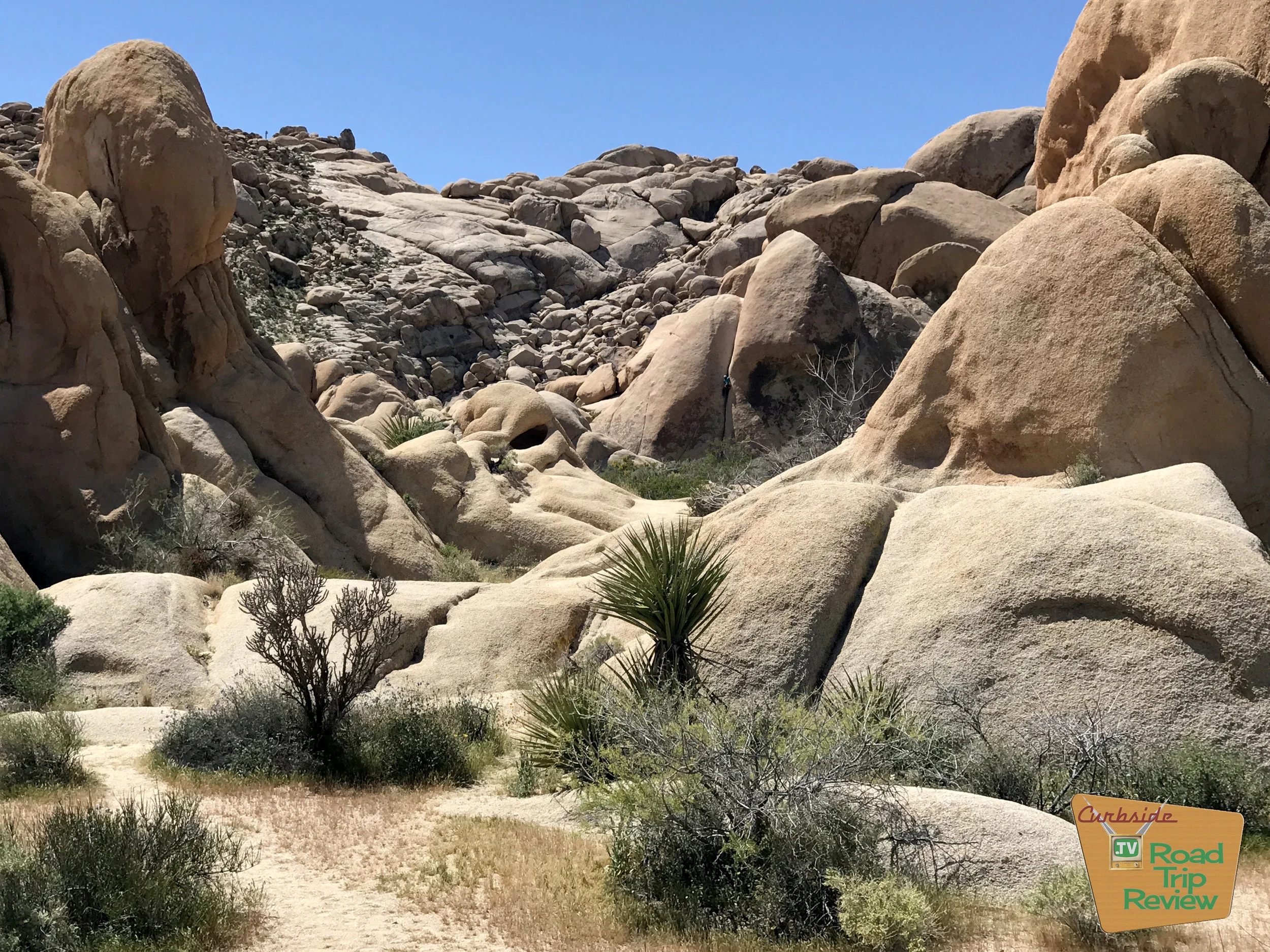Joshua Tree National Park - 149.jpg