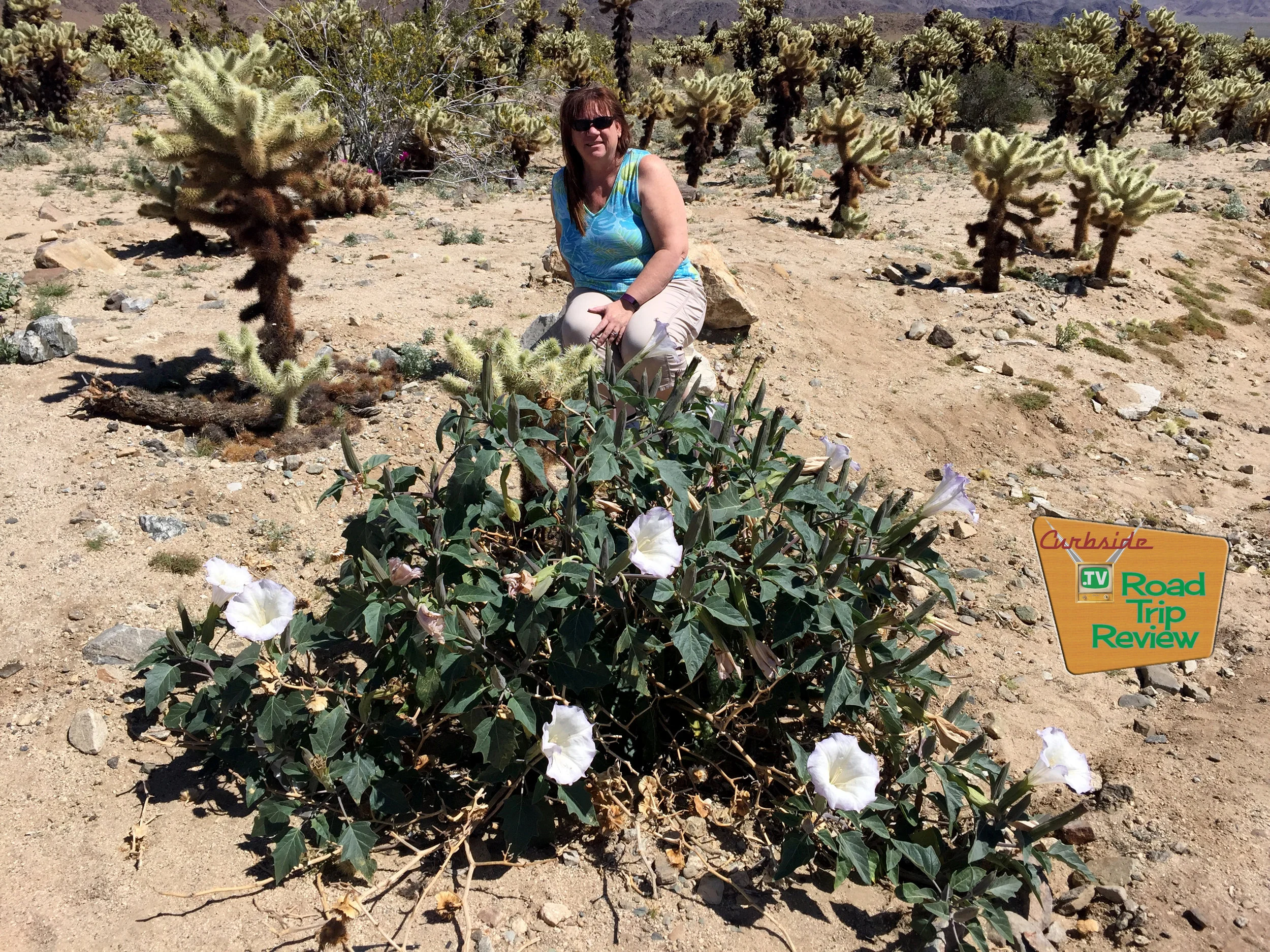 Joshua Tree National Park - 108.jpg
