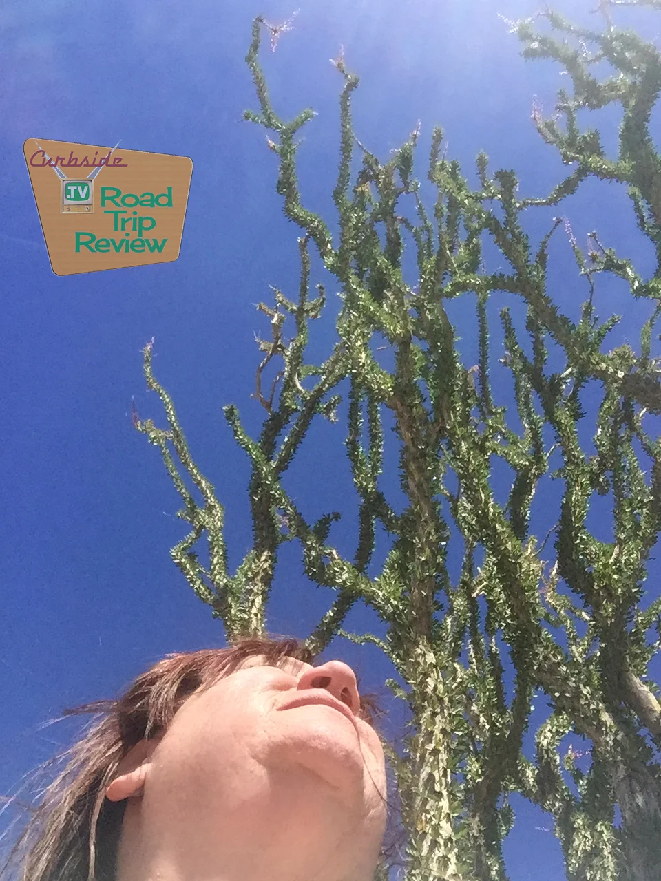 Joshua Tree National Park - 88.jpg