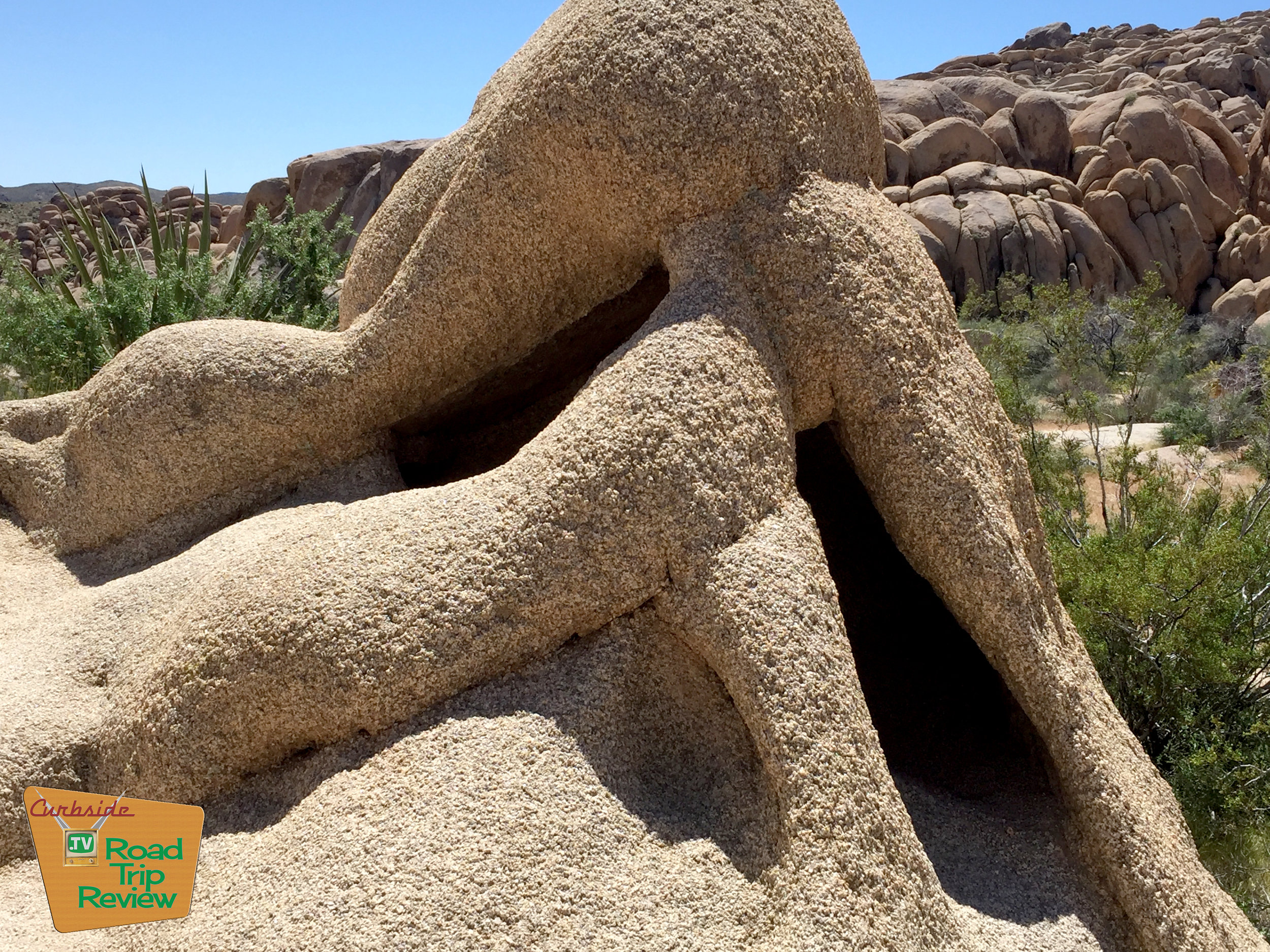 Joshua Tree National Park - 157.jpg