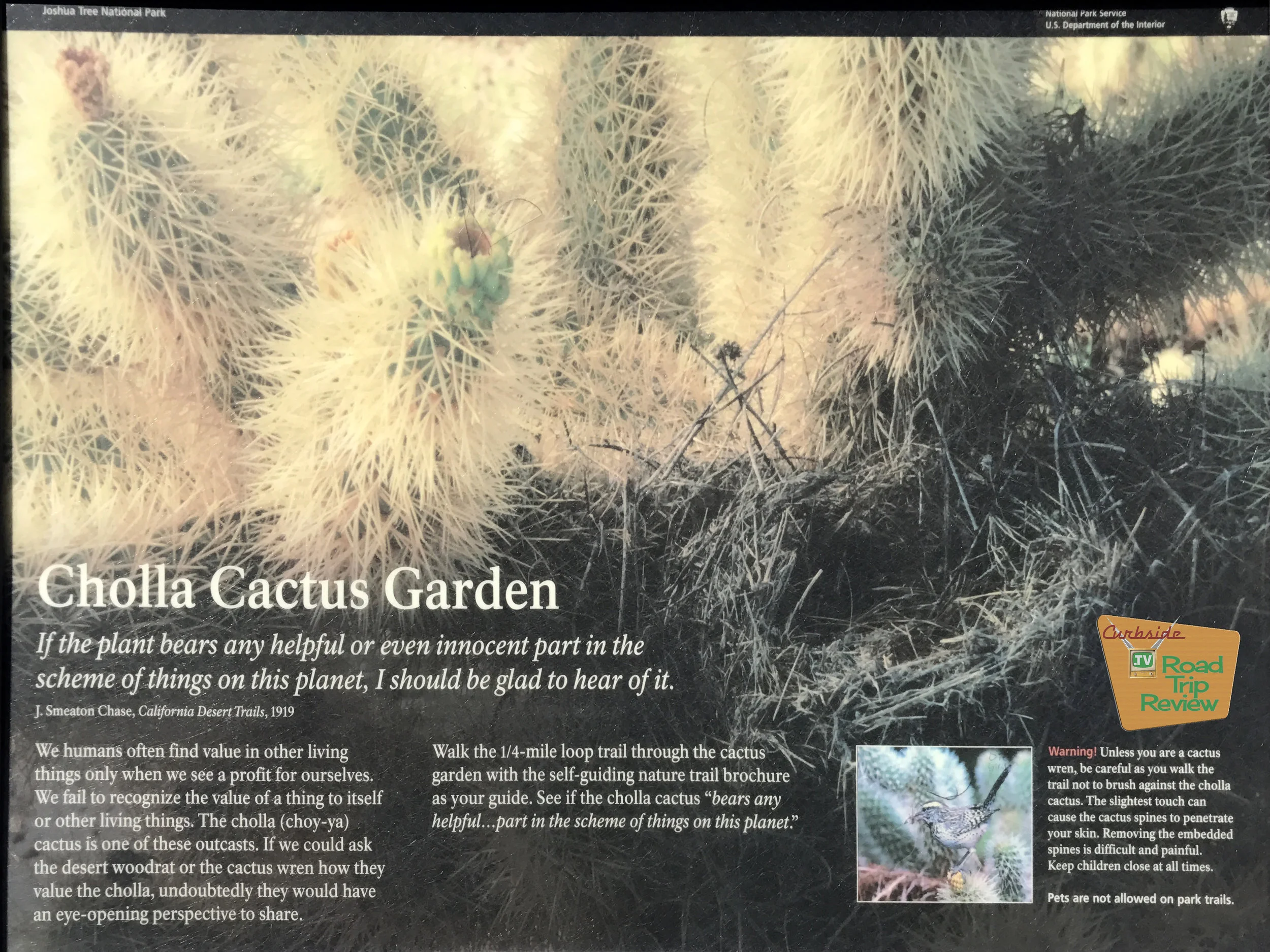 Joshua Tree National Park - 118.jpg