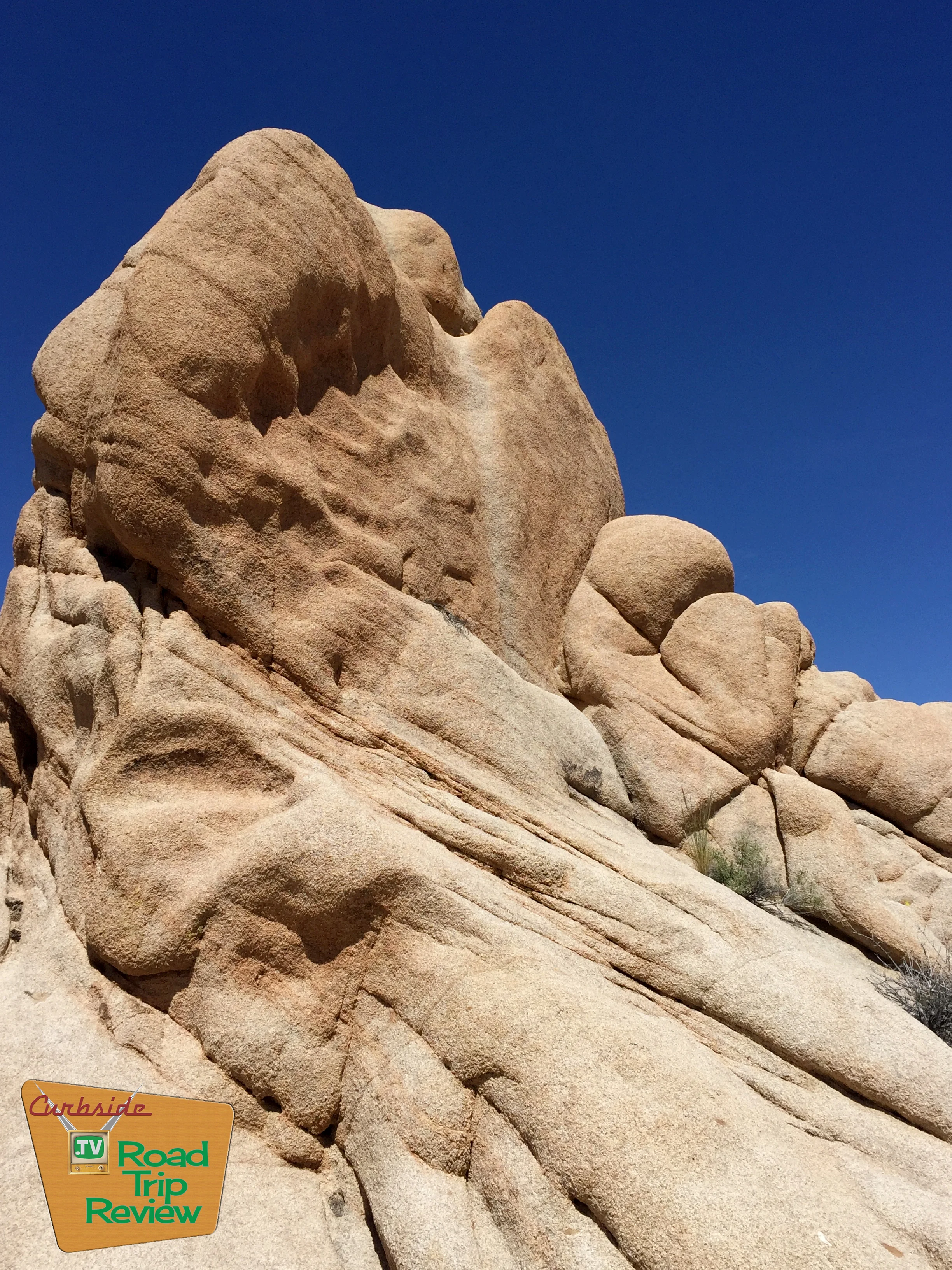 Joshua Tree National Park - 159.jpg