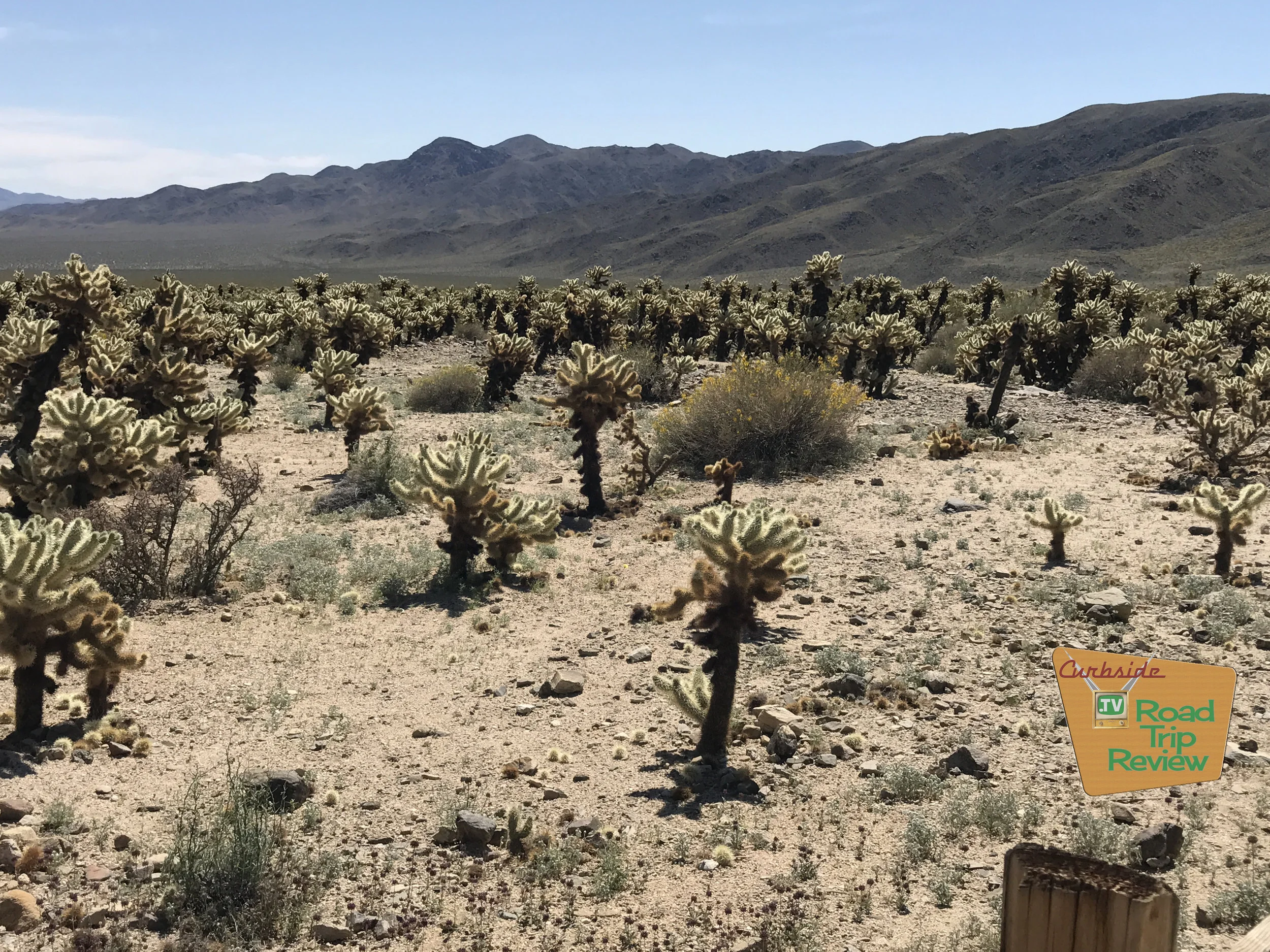 Joshua Tree National Park - 114.jpg