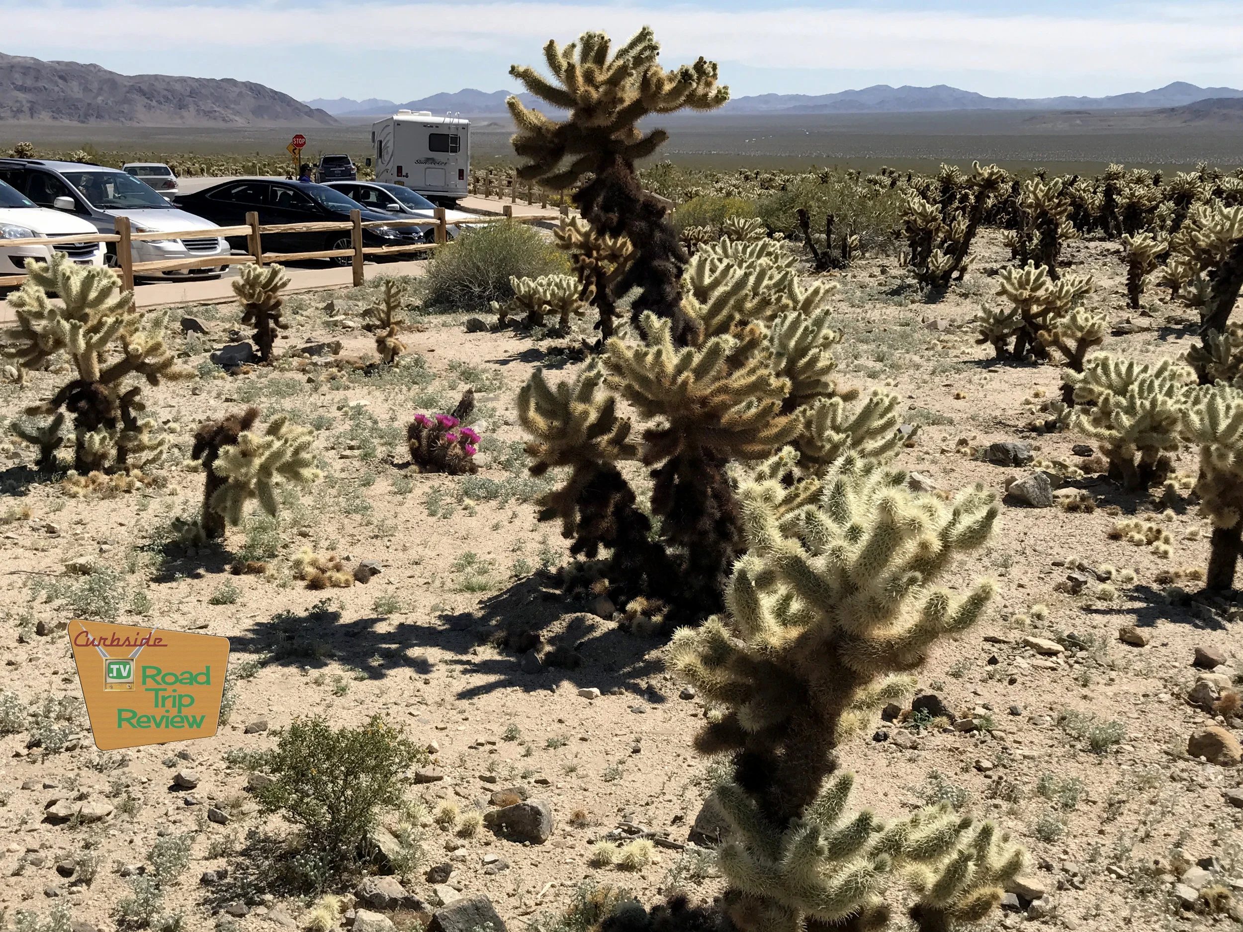 Joshua Tree National Park - 112.jpg