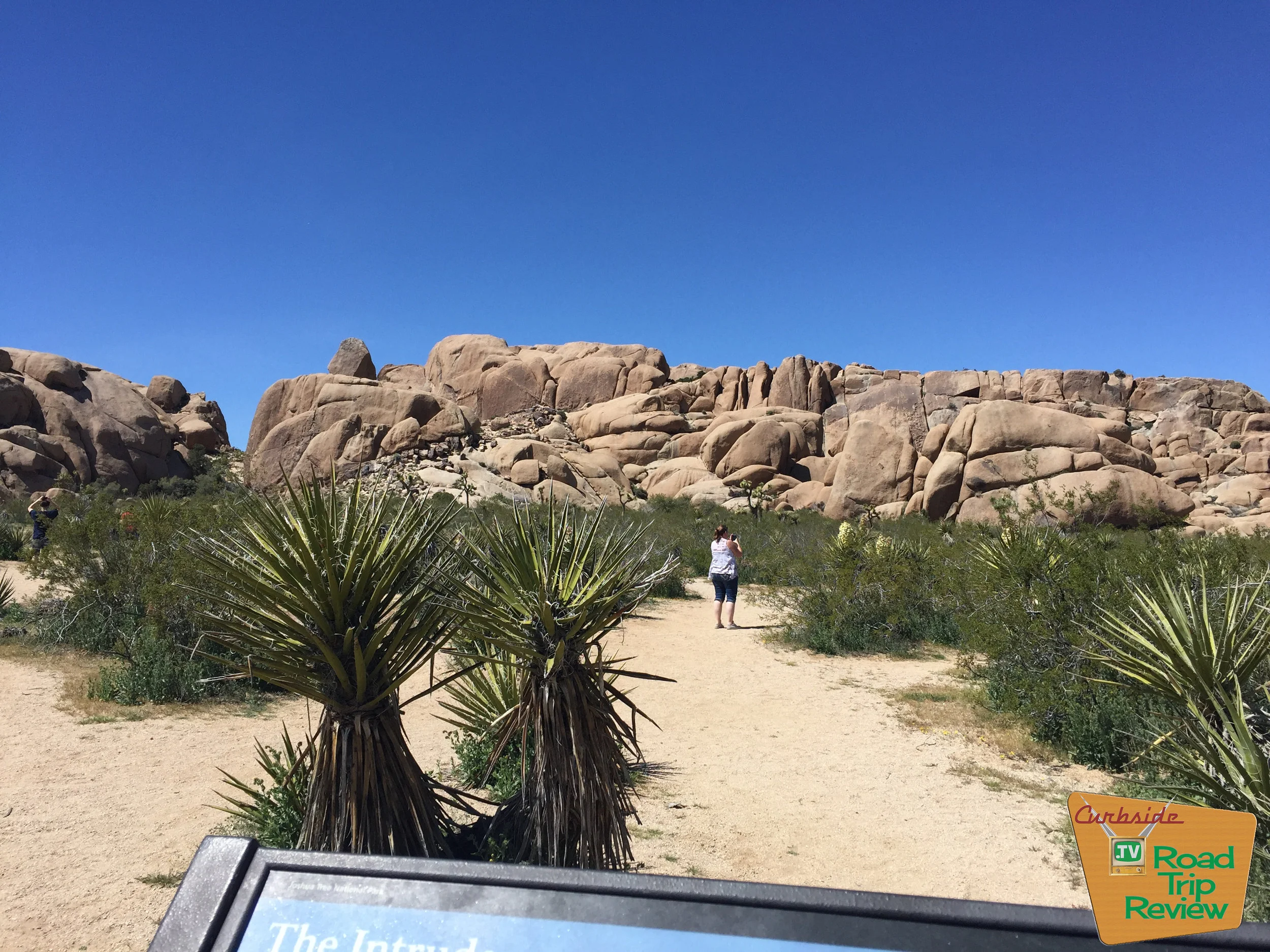 Joshua Tree National Park - 183.jpg
