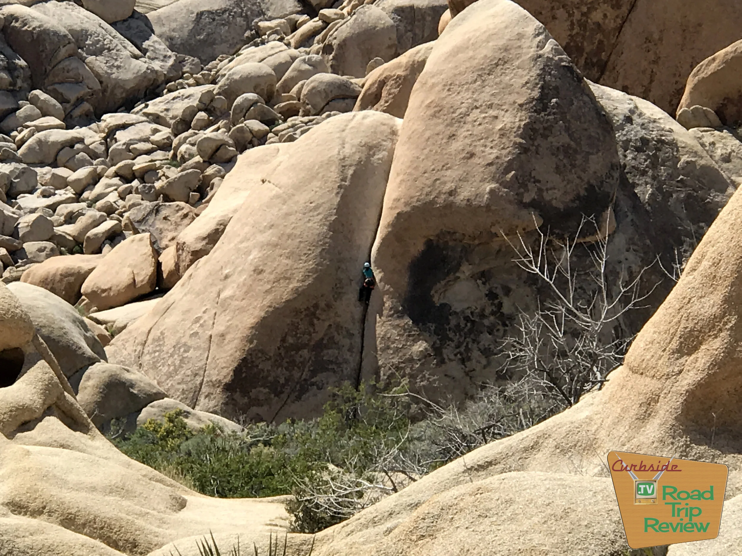 Joshua Tree National Park - 150.jpg