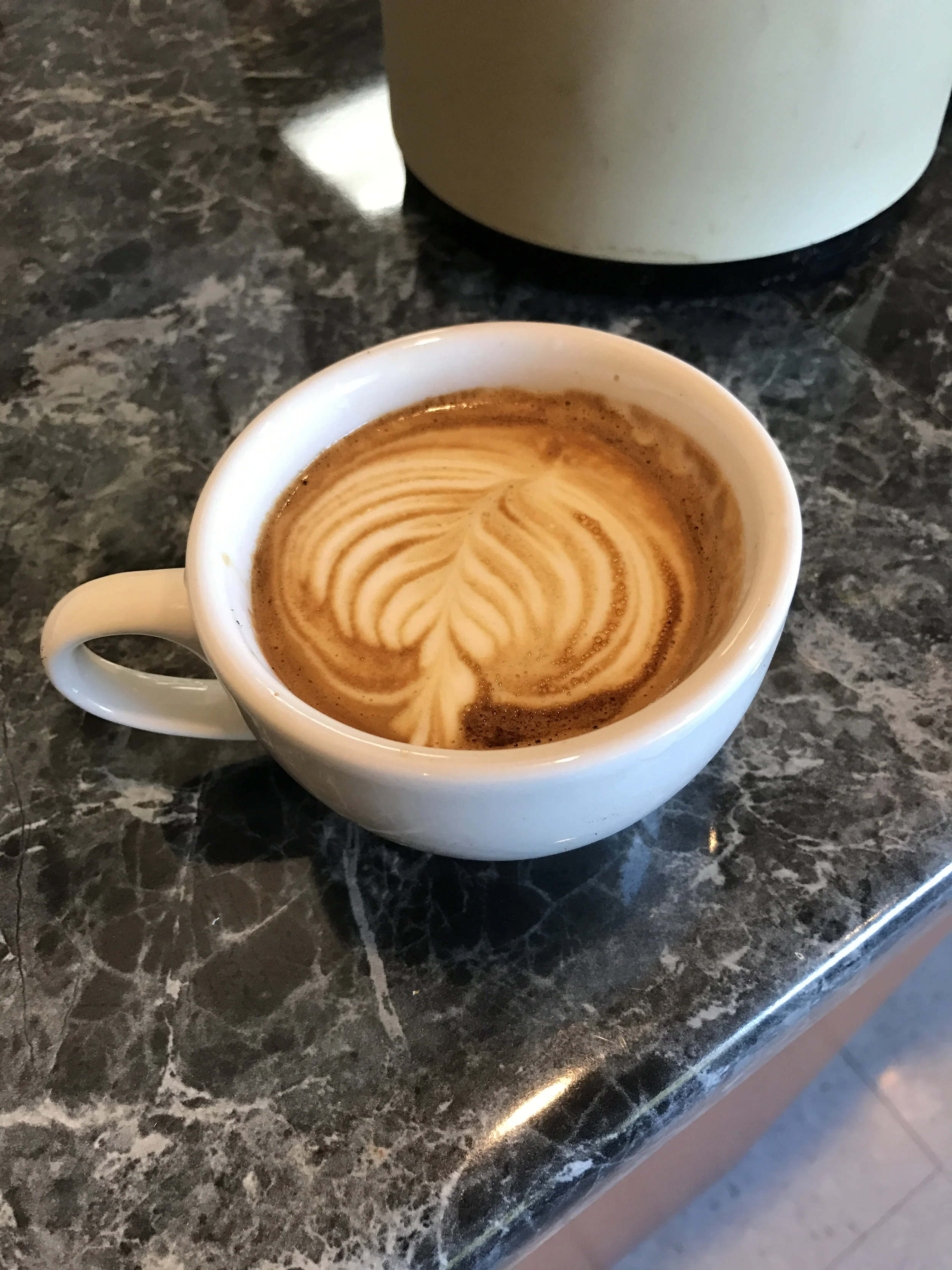 The Perfect Boondocking Coffee Maker - Aeropress Review