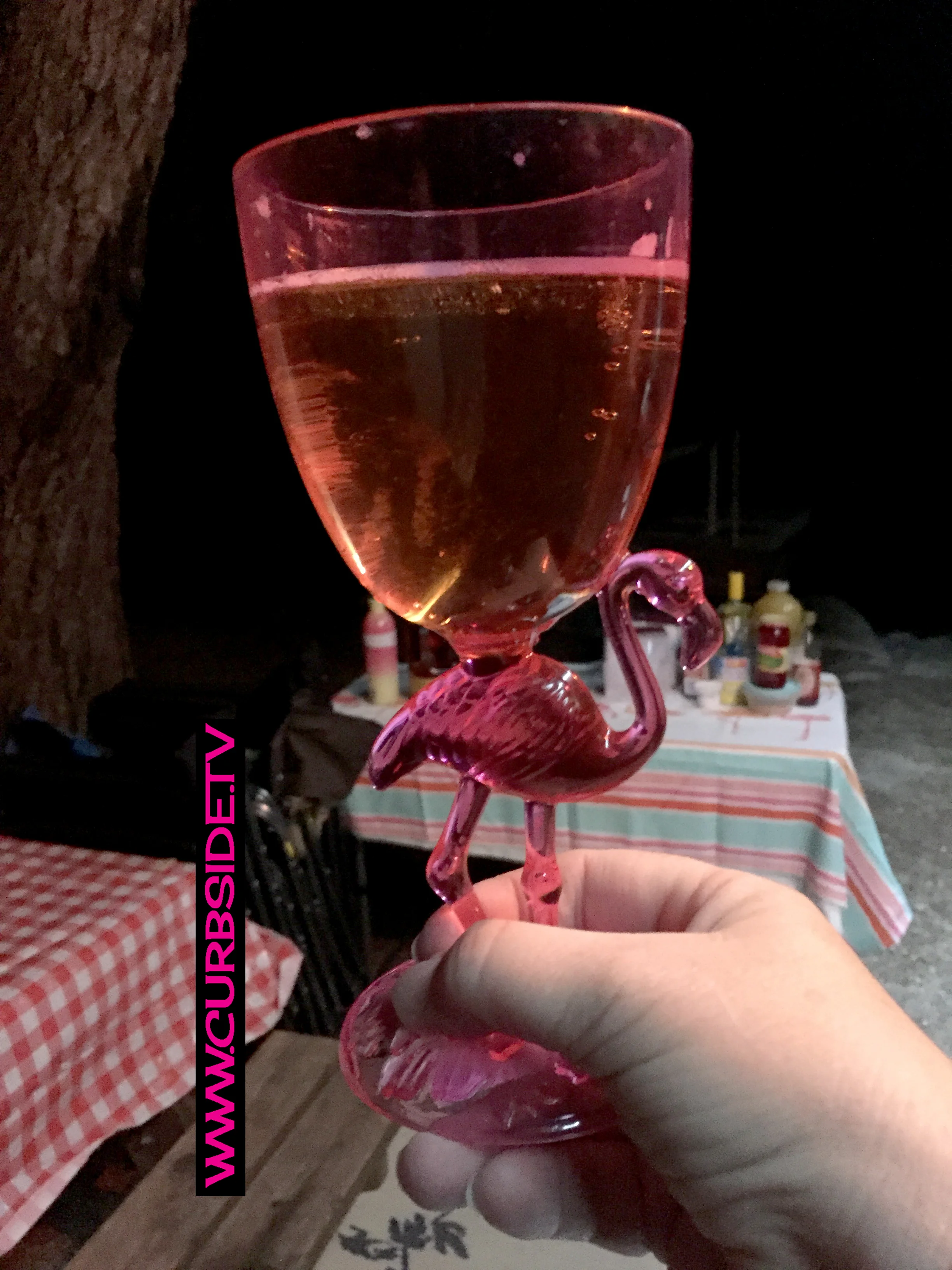 Sisters on the Fly - 1.jpg