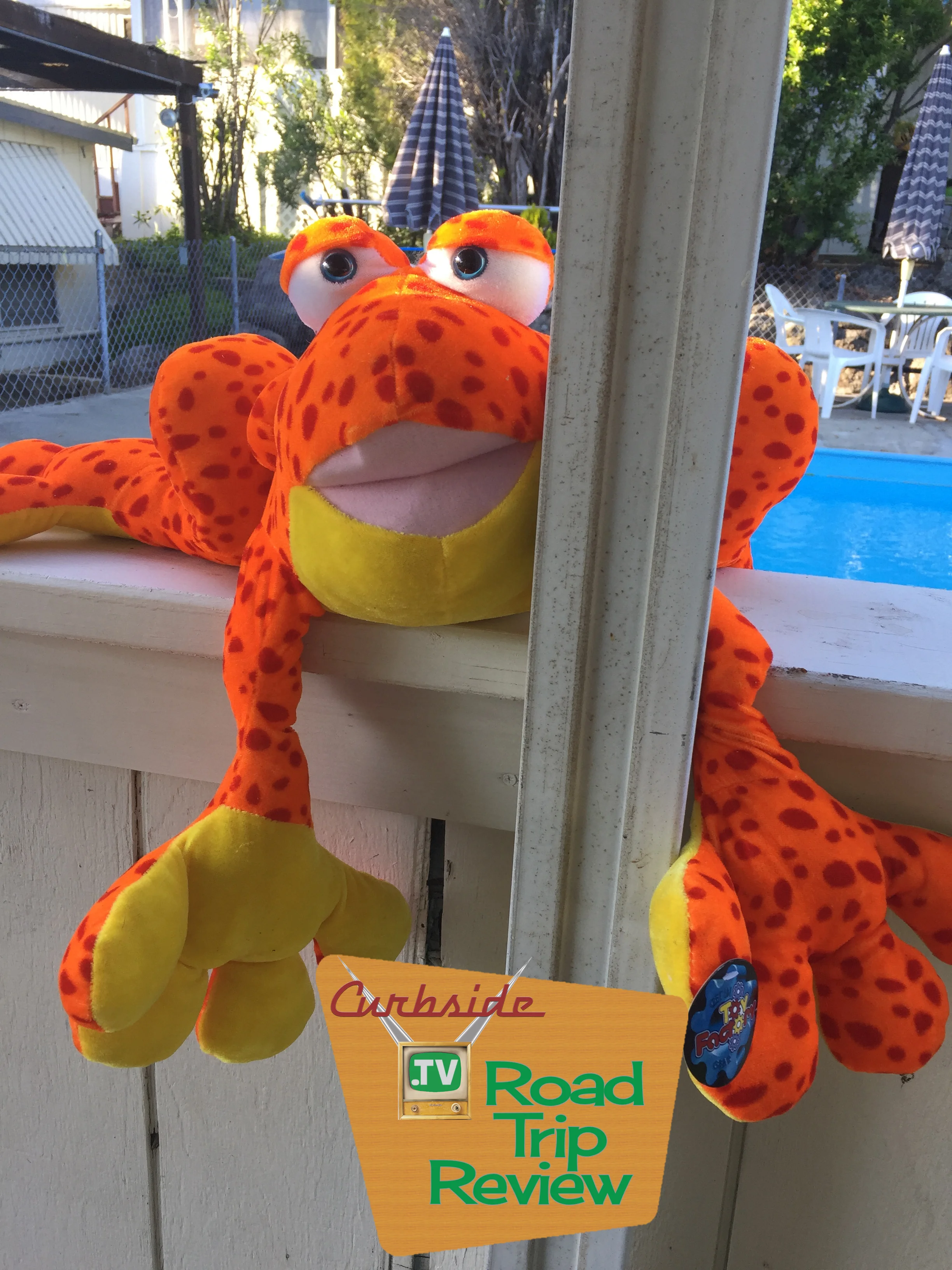 Sisters on the Fly - 26.jpg