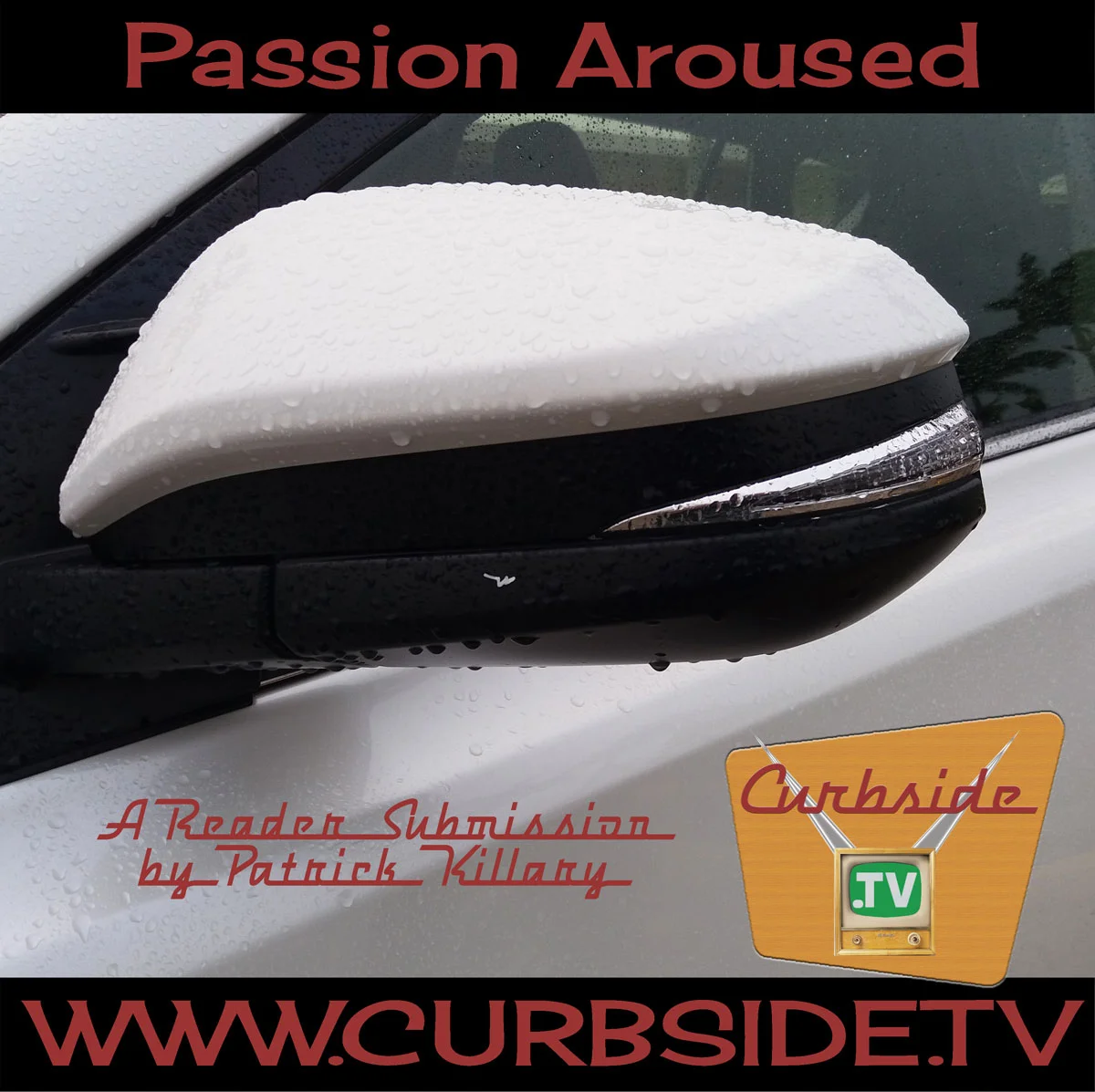 Passion Aroused