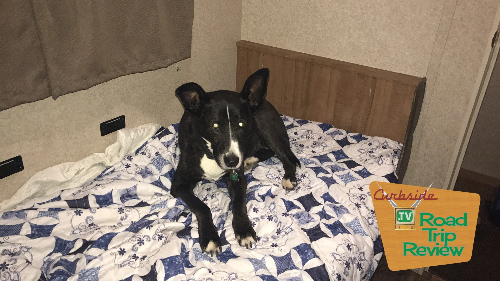 RVing is great for pet travel