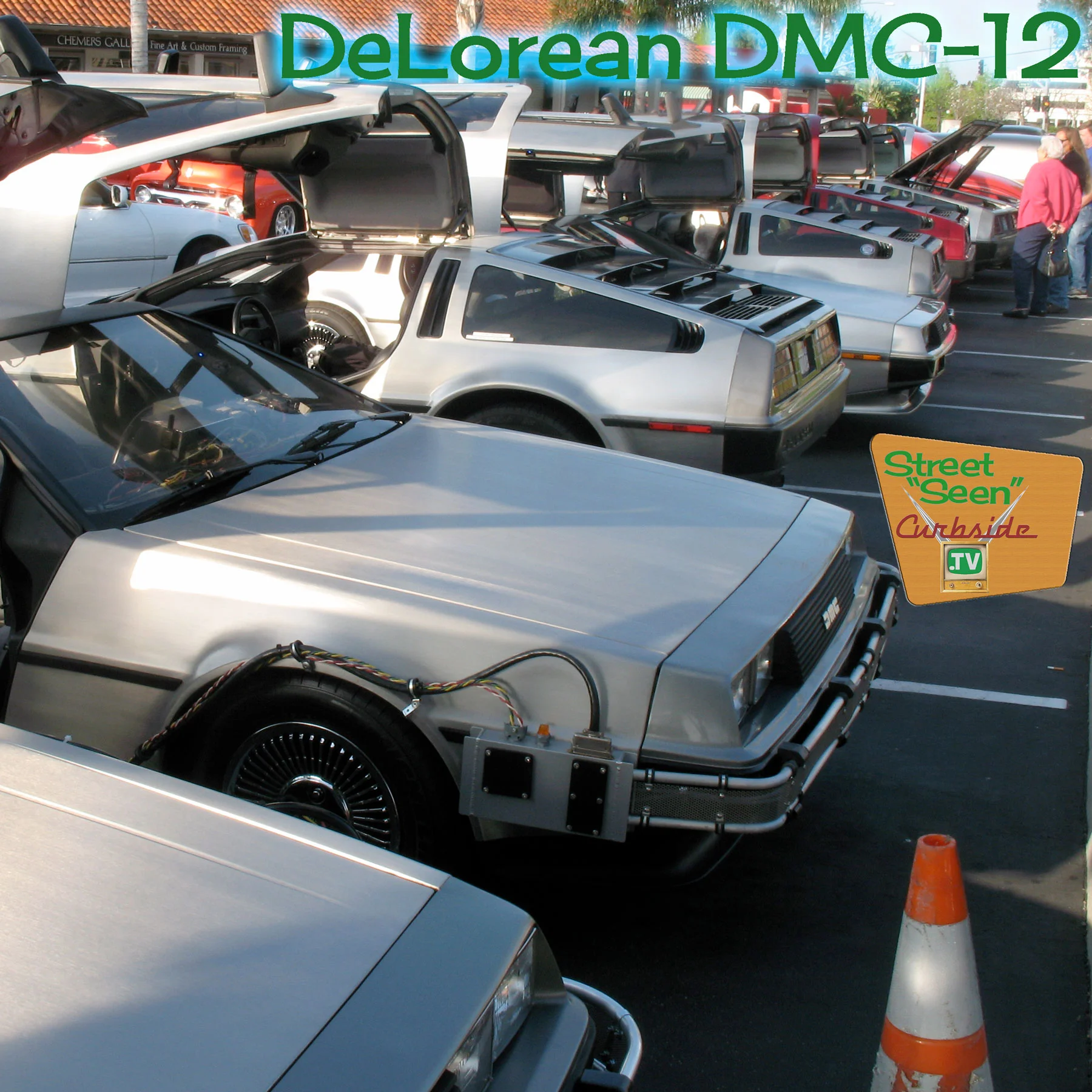 Travel in time with a turkey - DeLorean DMC-12