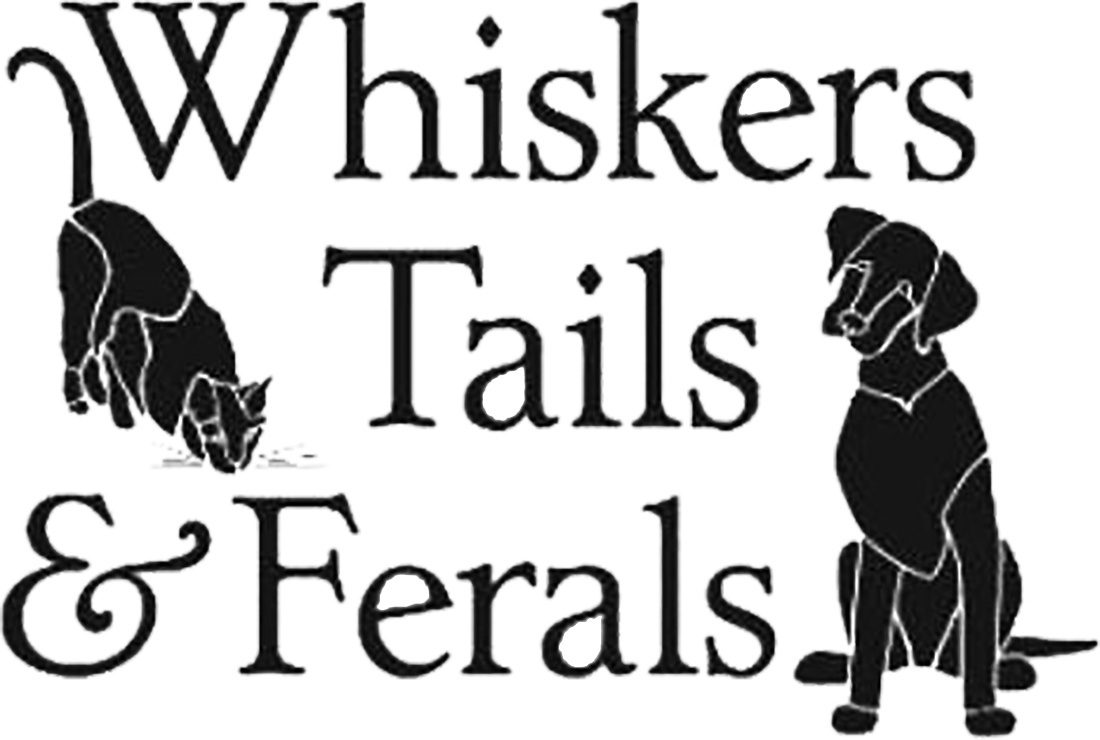 Whiskers-Tails.png