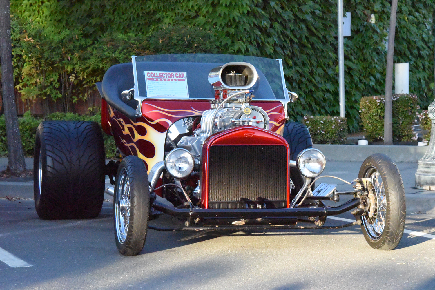 DSC_2071.jpg