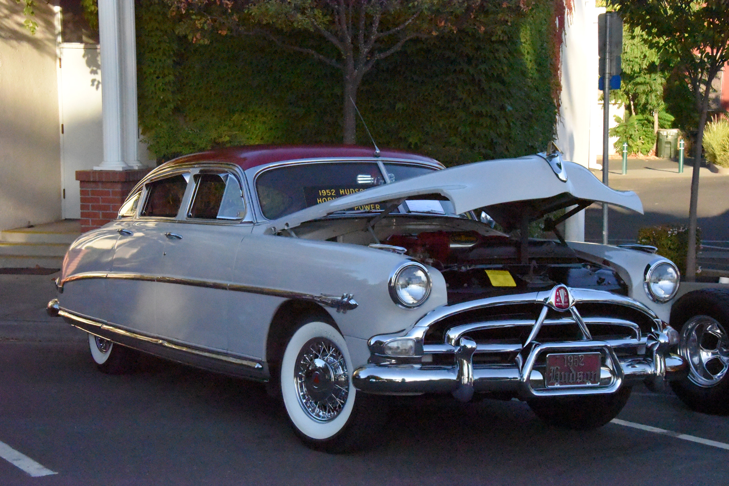 DSC_2074.jpg