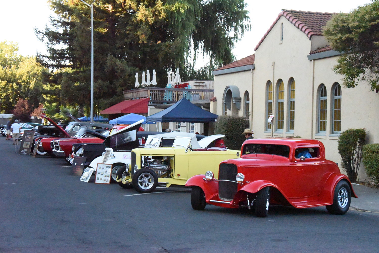 DSC_2083.jpg