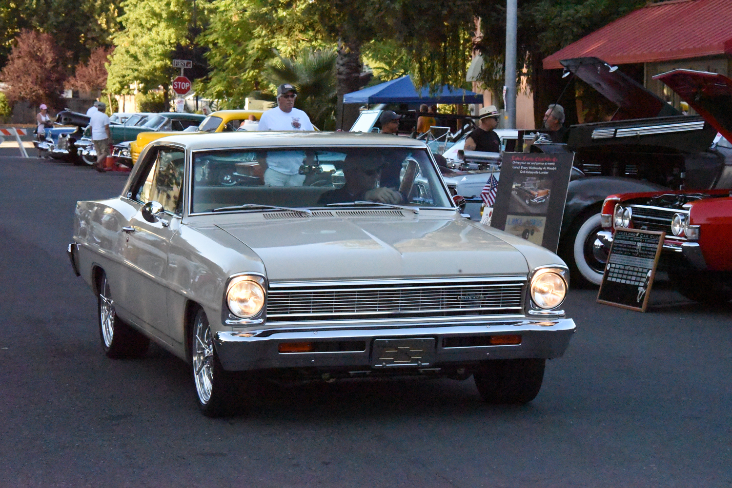 DSC_2177.jpg