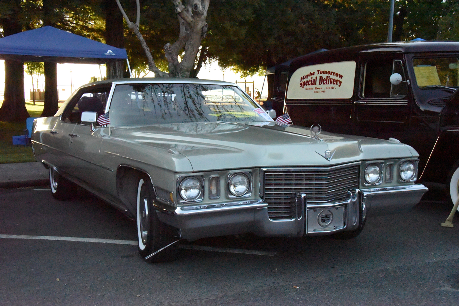 DSC_2195.jpg