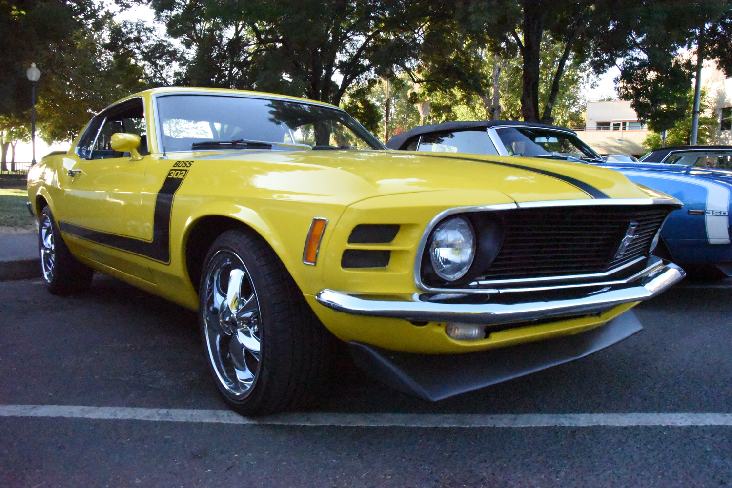 DSC_2224.jpg
