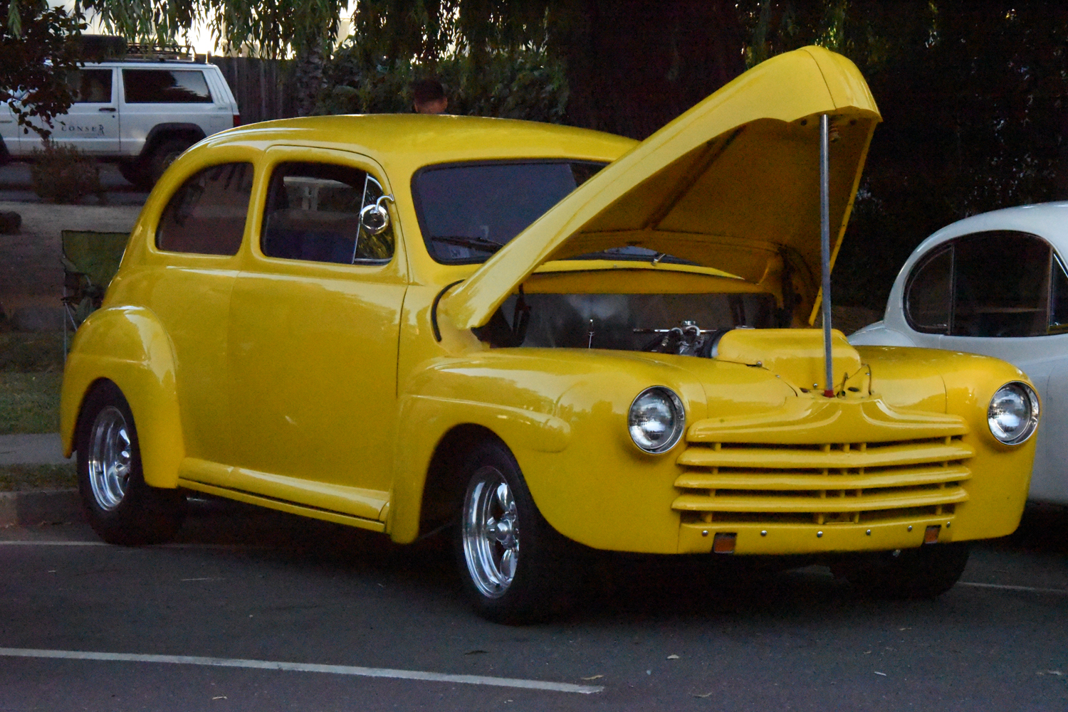 DSC_2251.jpg