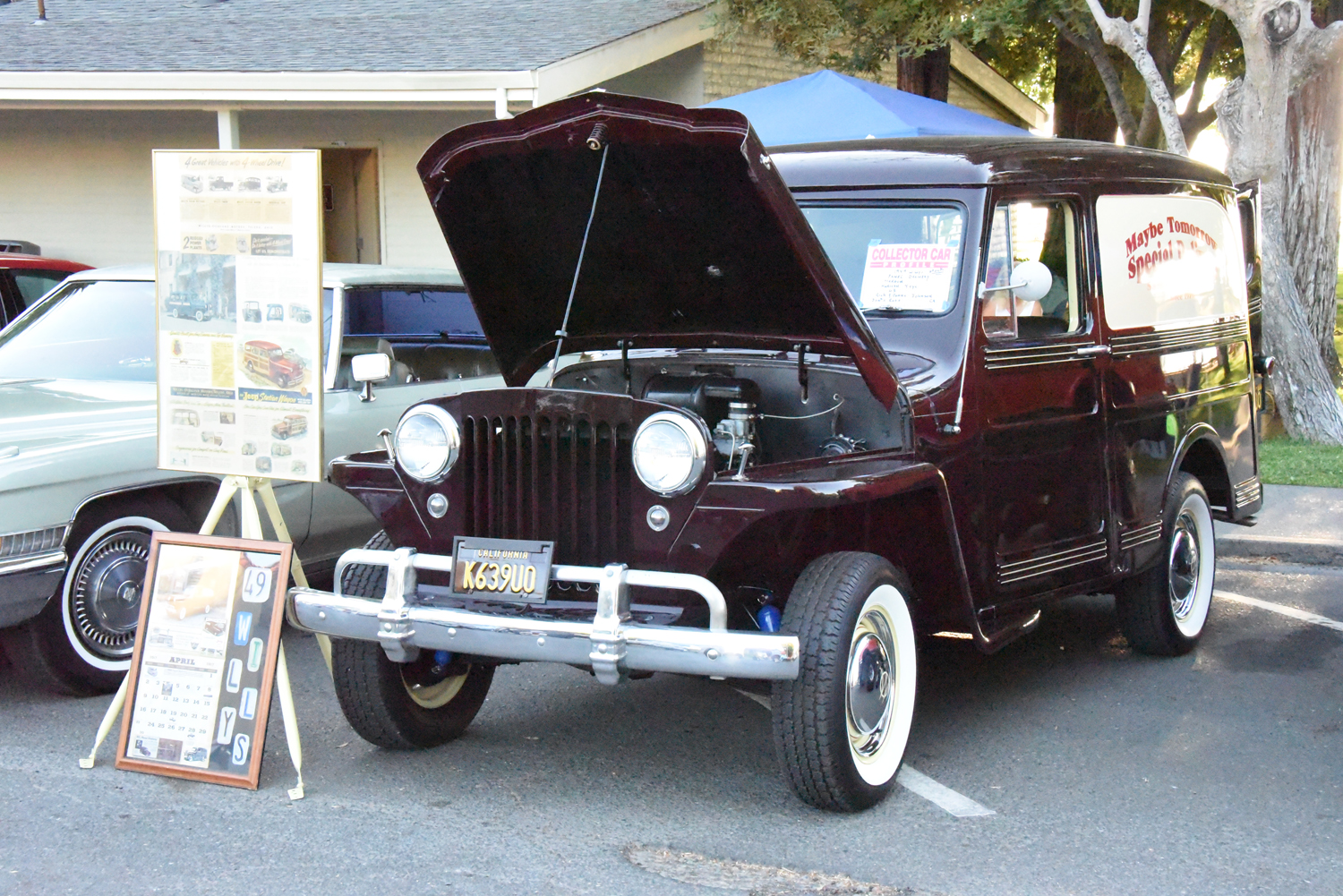 DSC_2262.jpg