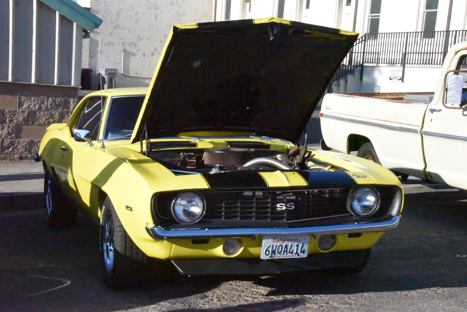 DSC_2293.jpg