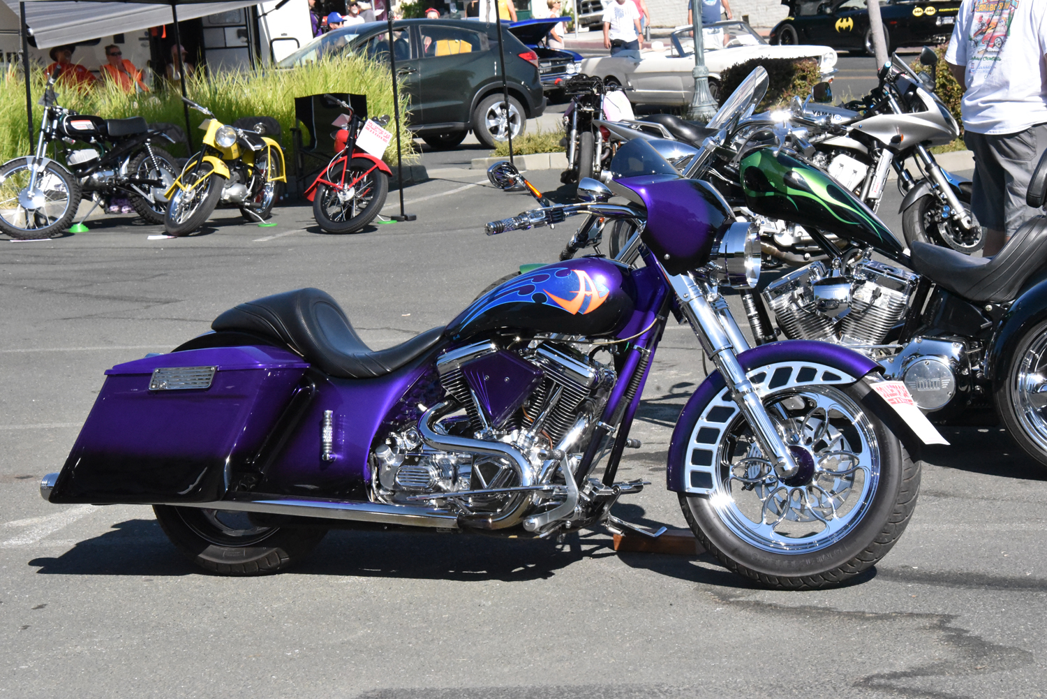 DSC_2424.jpg